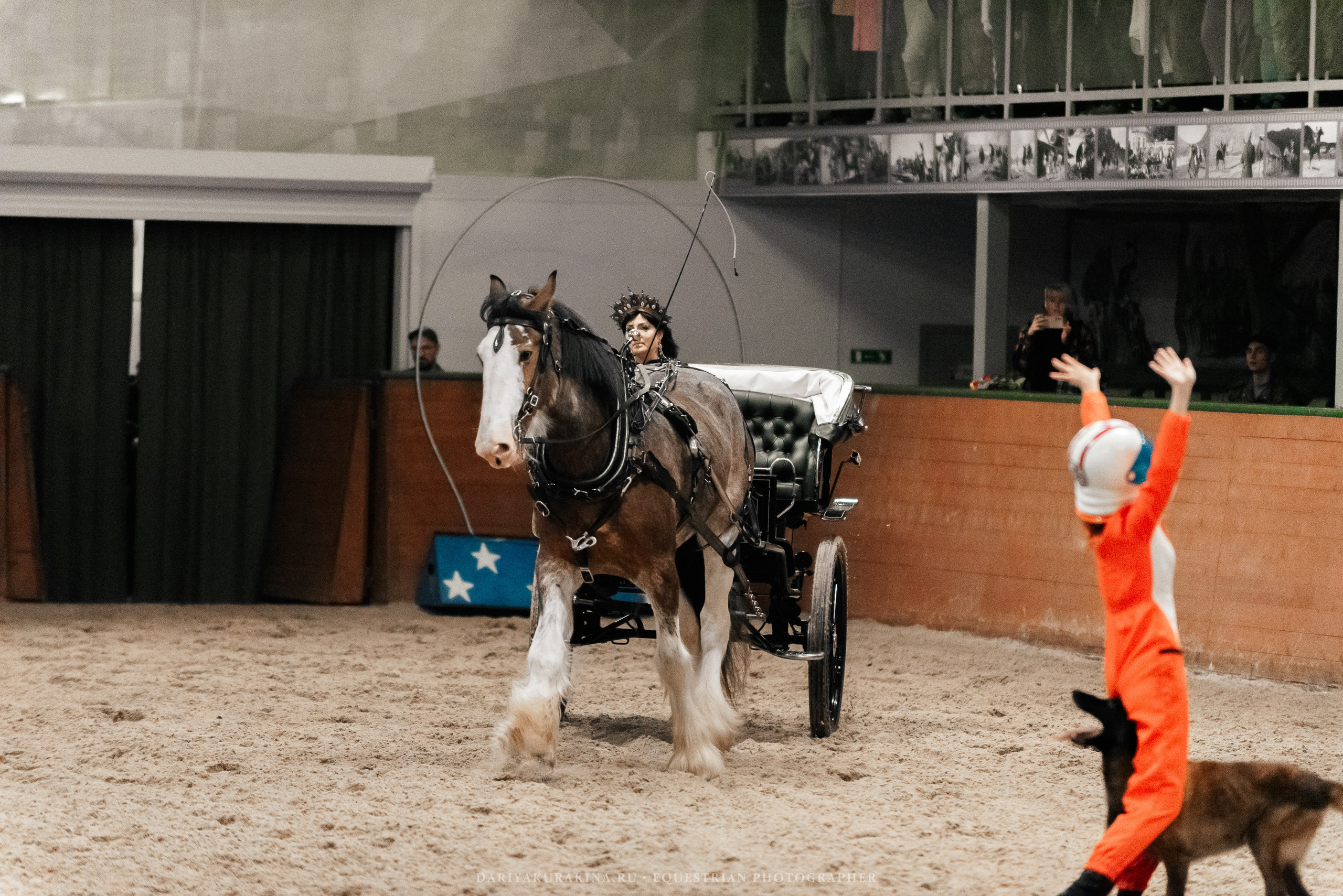 Конное представление «Дыхание Звёзд». Конный фотограф Куракина Дарья • Фотосессии с лошадьми