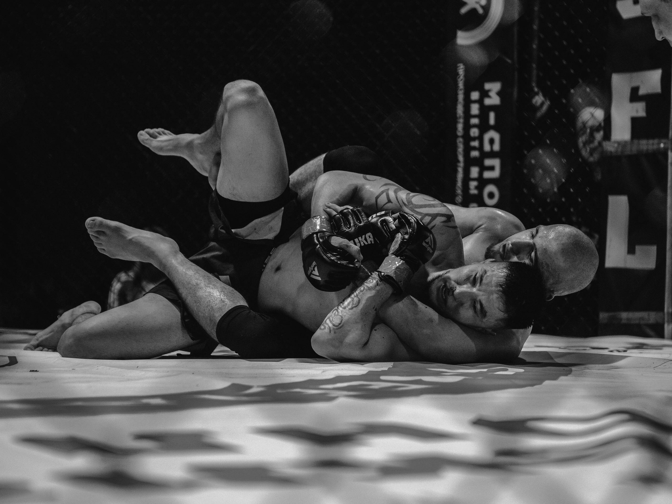 SFL 17 | Siberian Fighting League. Портретный фотограф в Москве Дарья Цезария