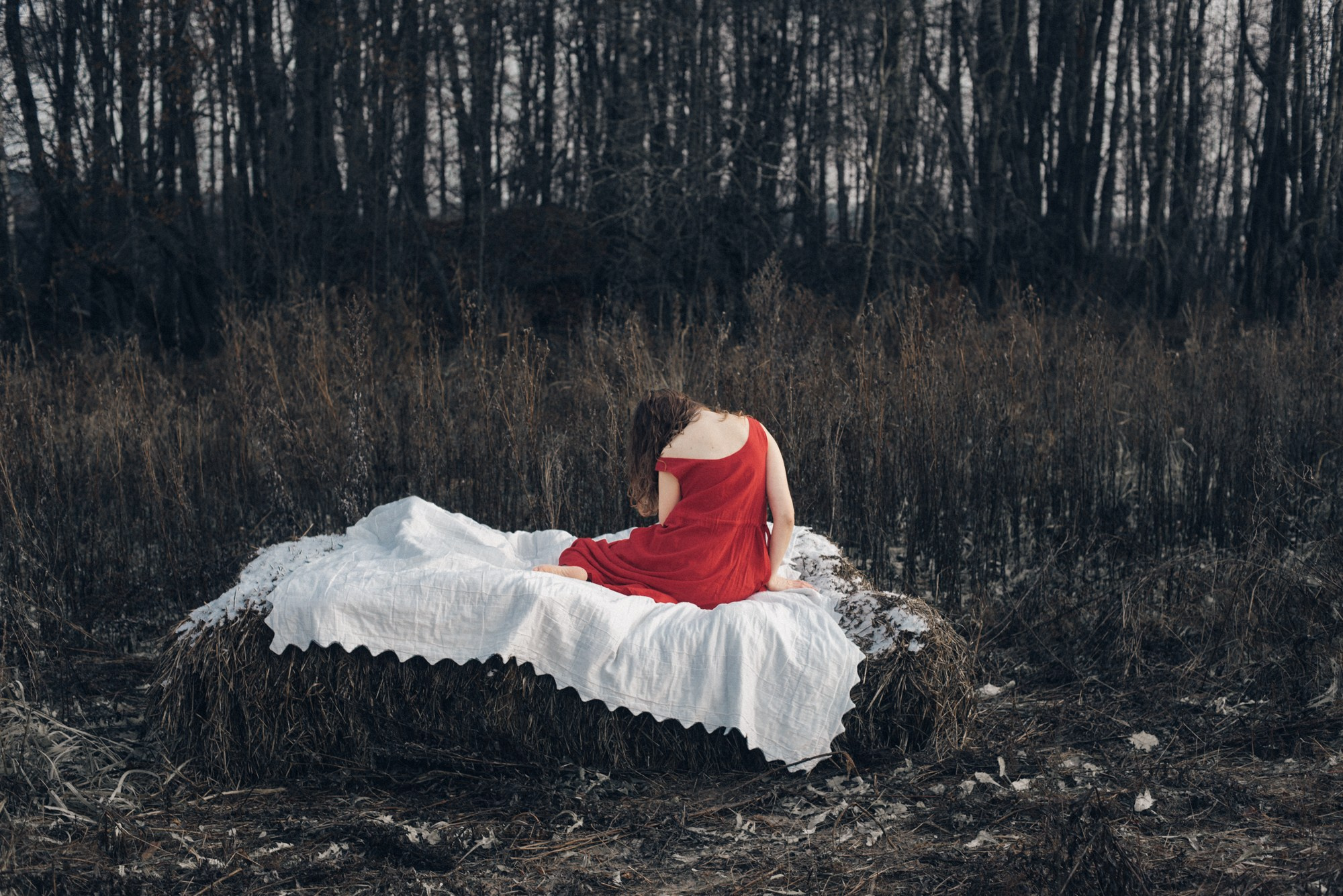 Understory. Tatiana Sikorskaya