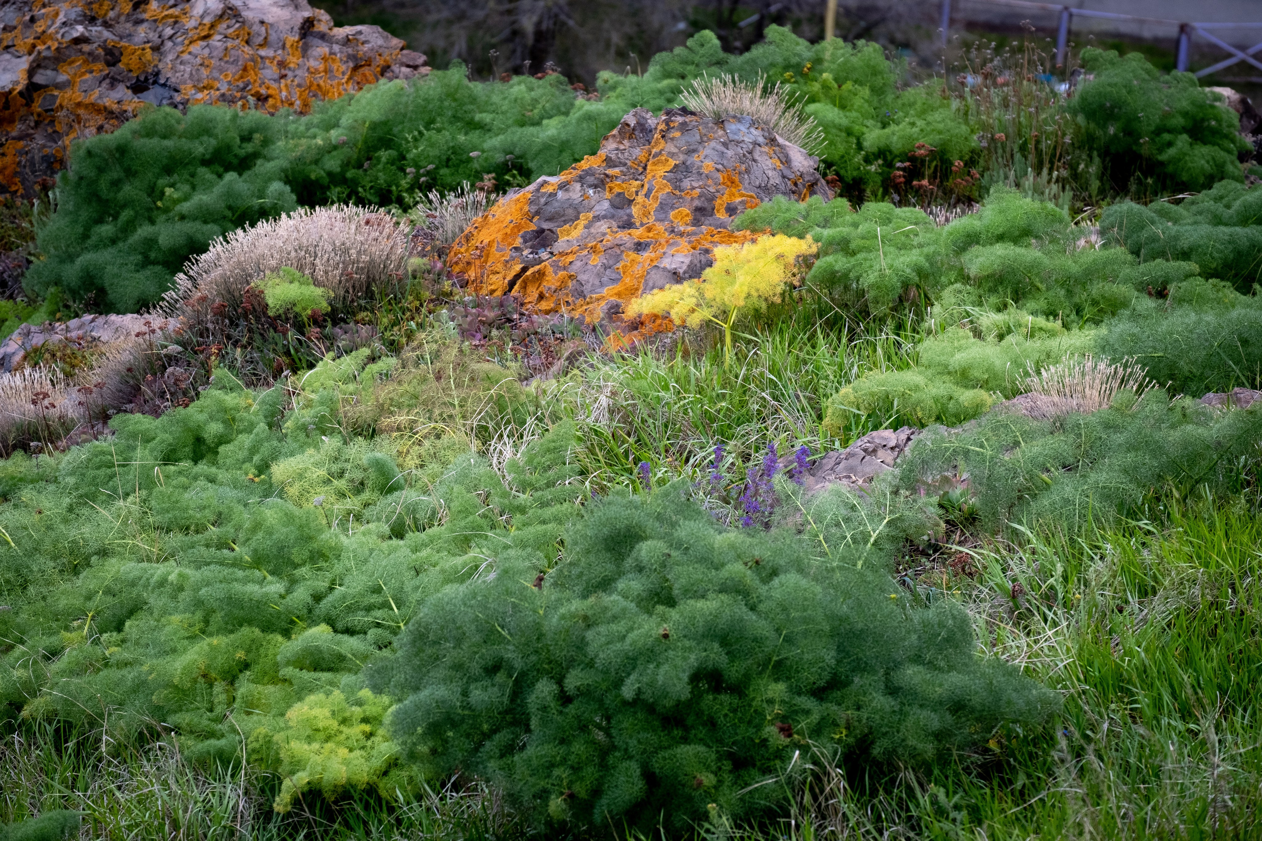 АРМЕНИЯ. ПОБУДЬ ЗДЕСЬ И ЦЕЛЕЕ БУДЕТ ЭТОТ МИР