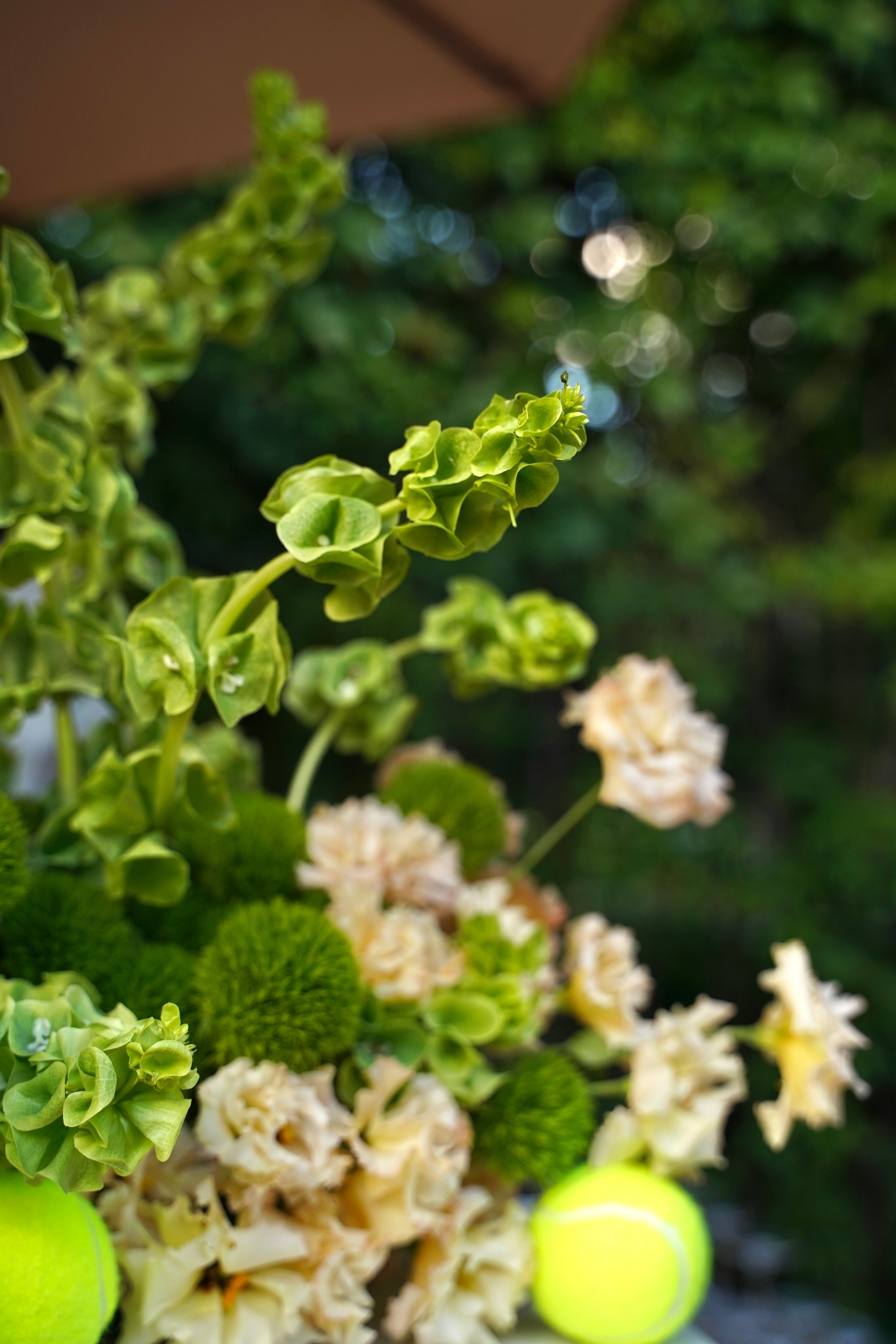 Dech.art.bureau — NRAV. Семейный и детский фотограф в Москве