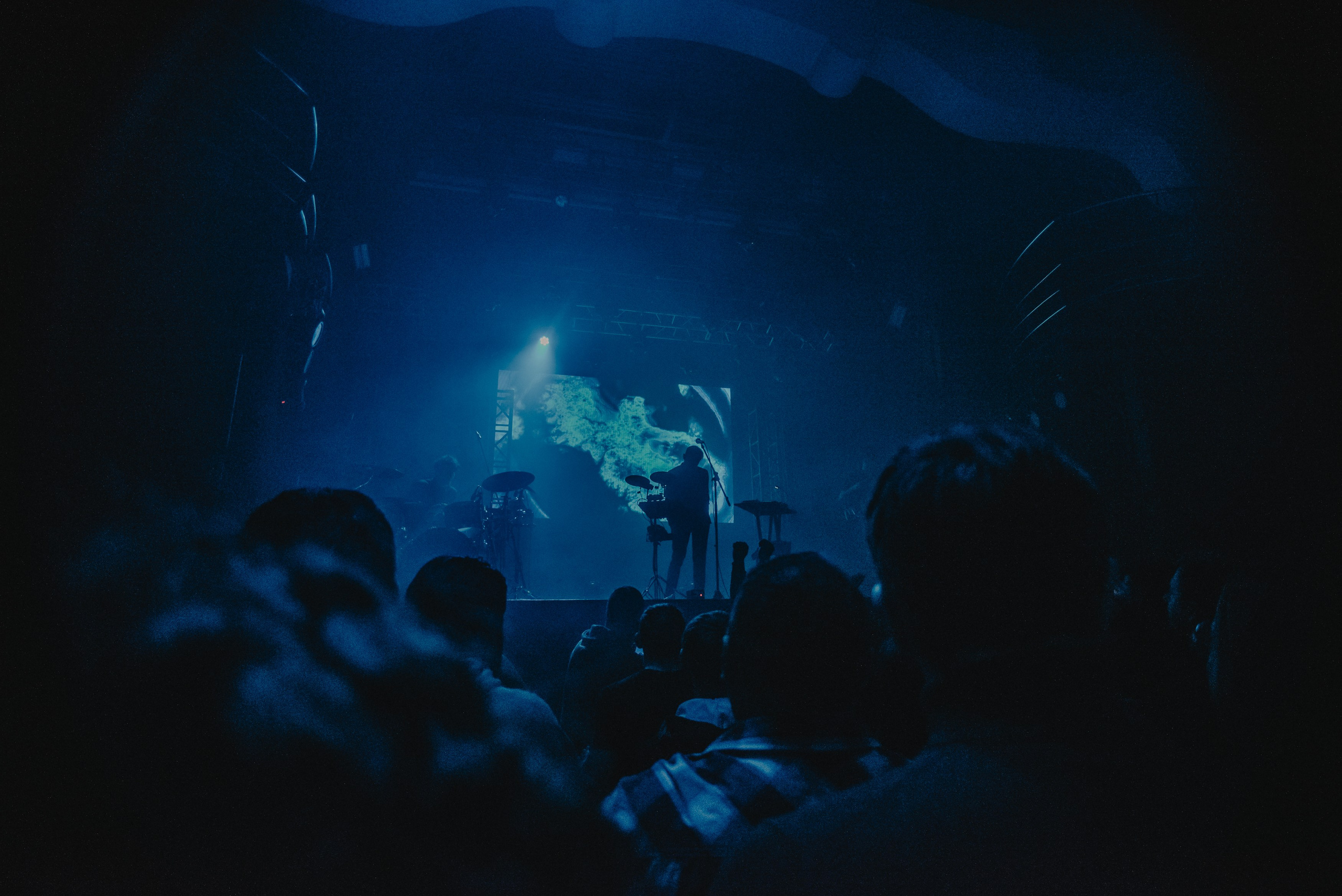 Дельфин | Gaudi. Контент фотограф Илья Урс