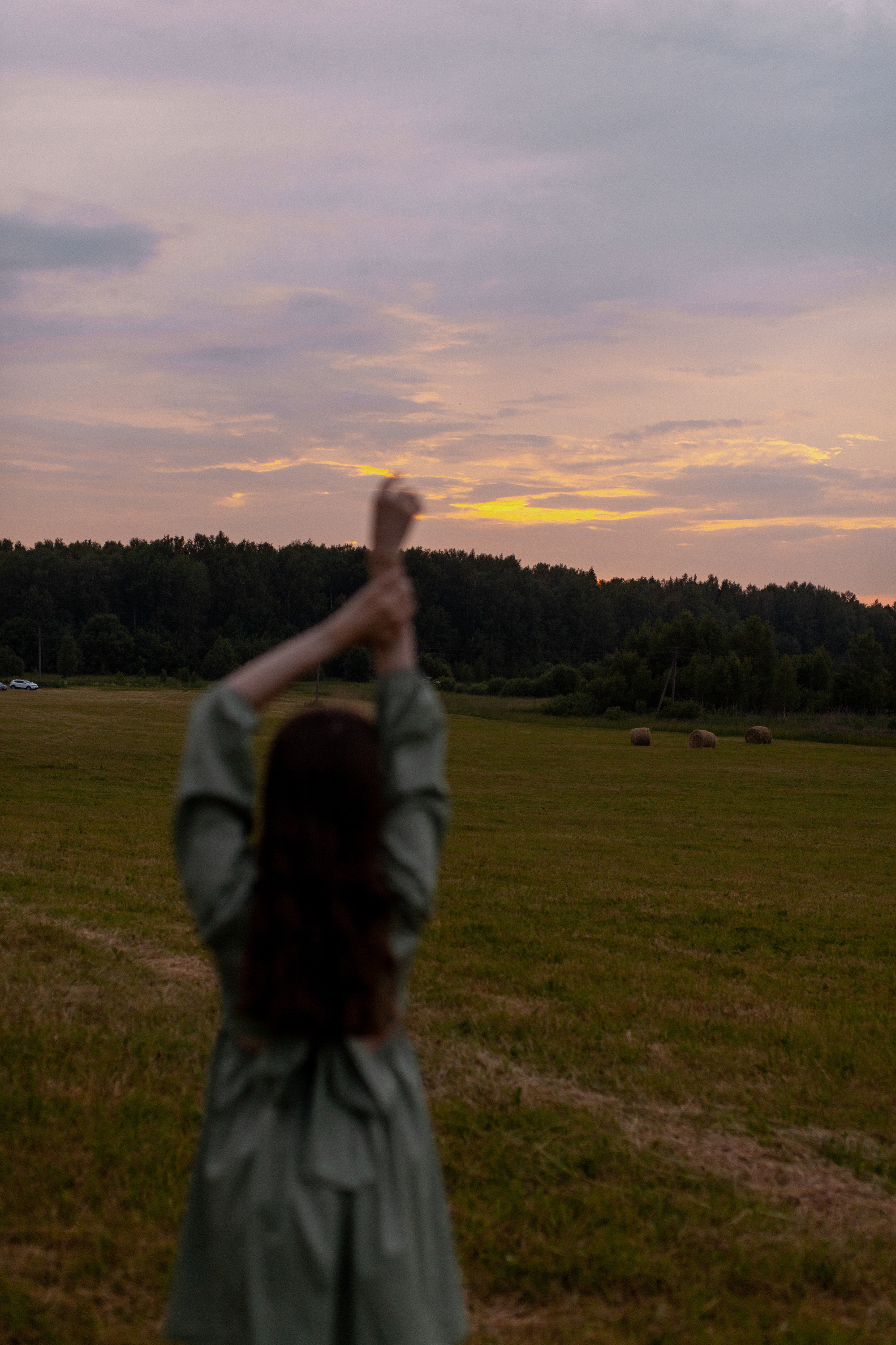 Андрей+Алена+Алиса. Фотограф Сергиев Посад Москва Хованская Екатерина