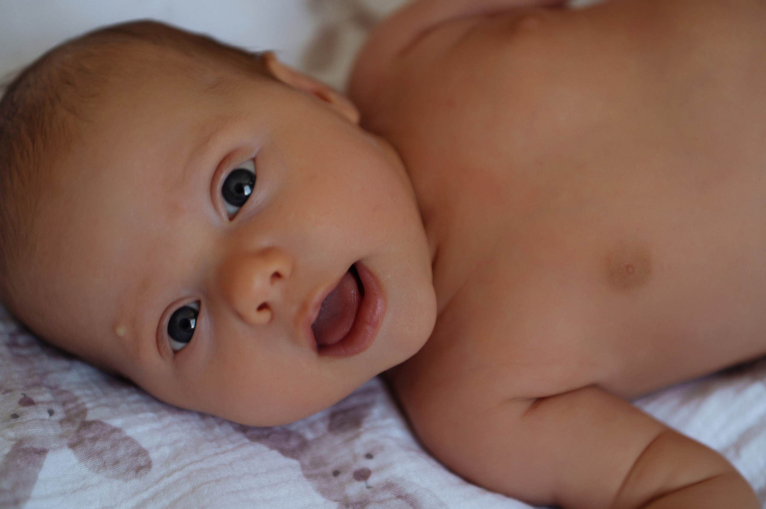 Наташа, Дима и Лера. Свадебный, портретный, фотограф беременности в Нижнем Новгороде Алина Зиновьева