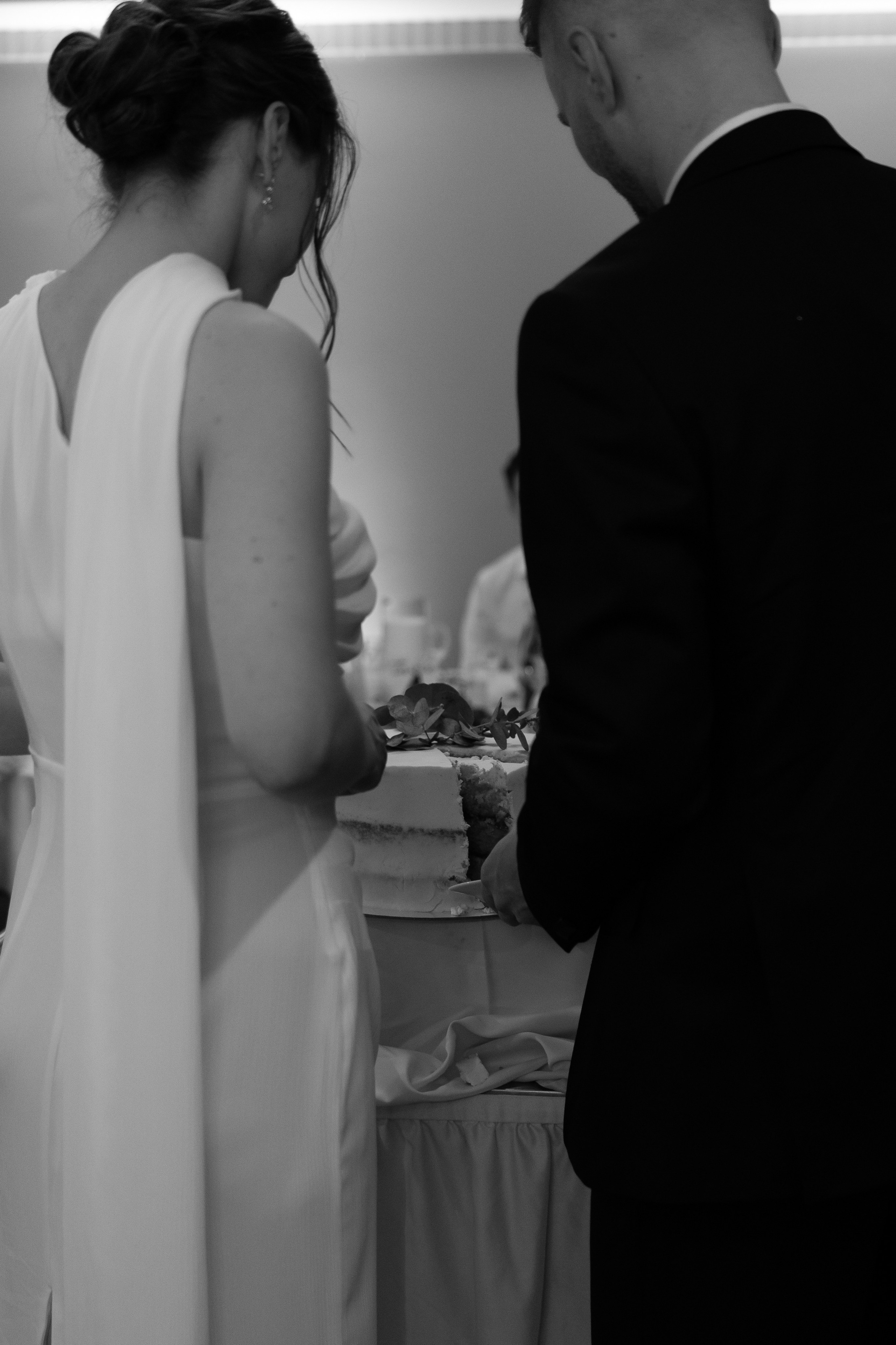 Серая кошка и рыжий кот. Свадебный и семейный фотограф Арина Кулёва