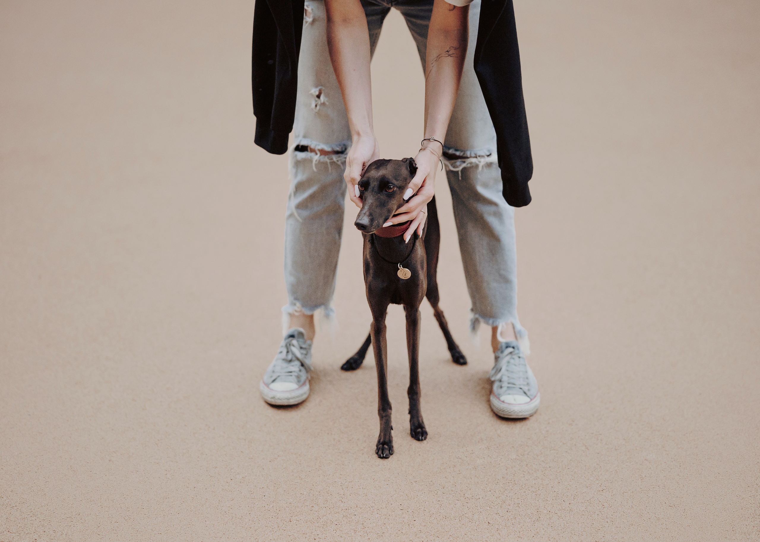 Дофи. Фотограф- анималист Александра Матвеева