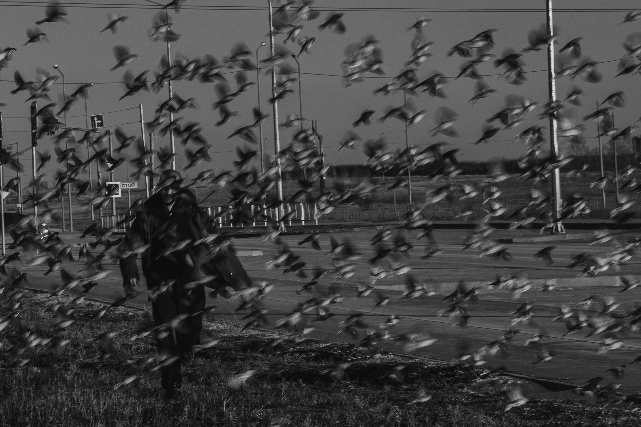 Индивидуальная фотосъёмка в Самаре