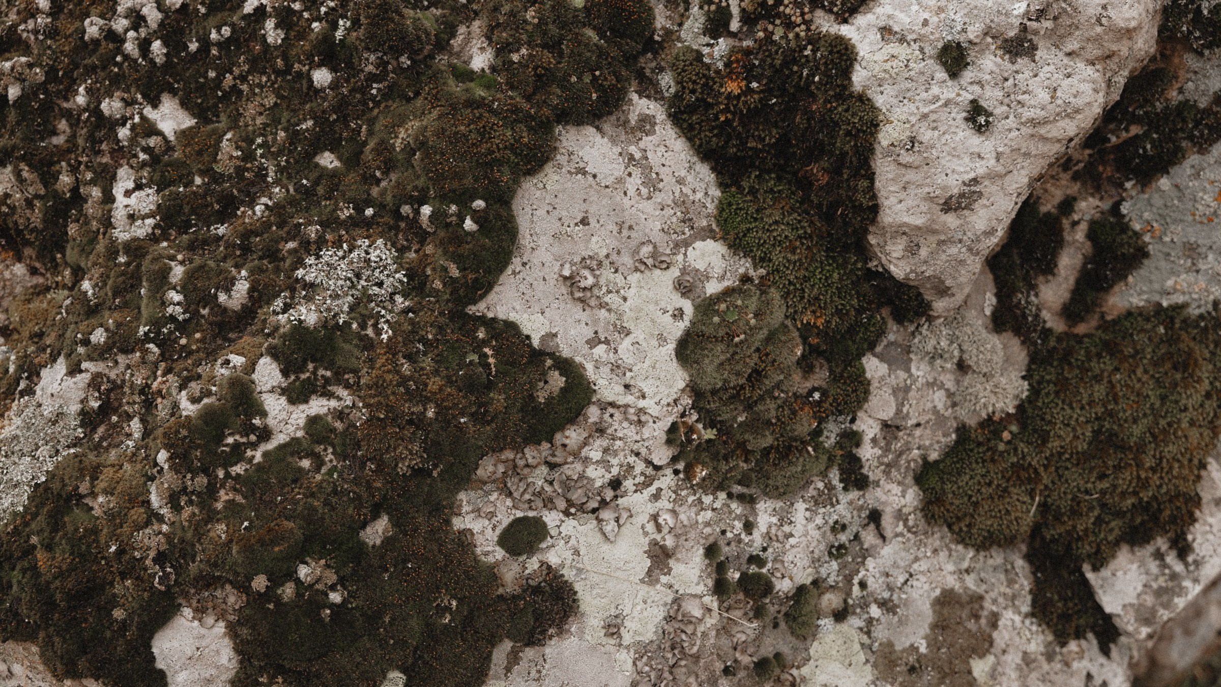 Воздух, горы, семья. Свадебный фотограф в Ярославле Илья Жуков