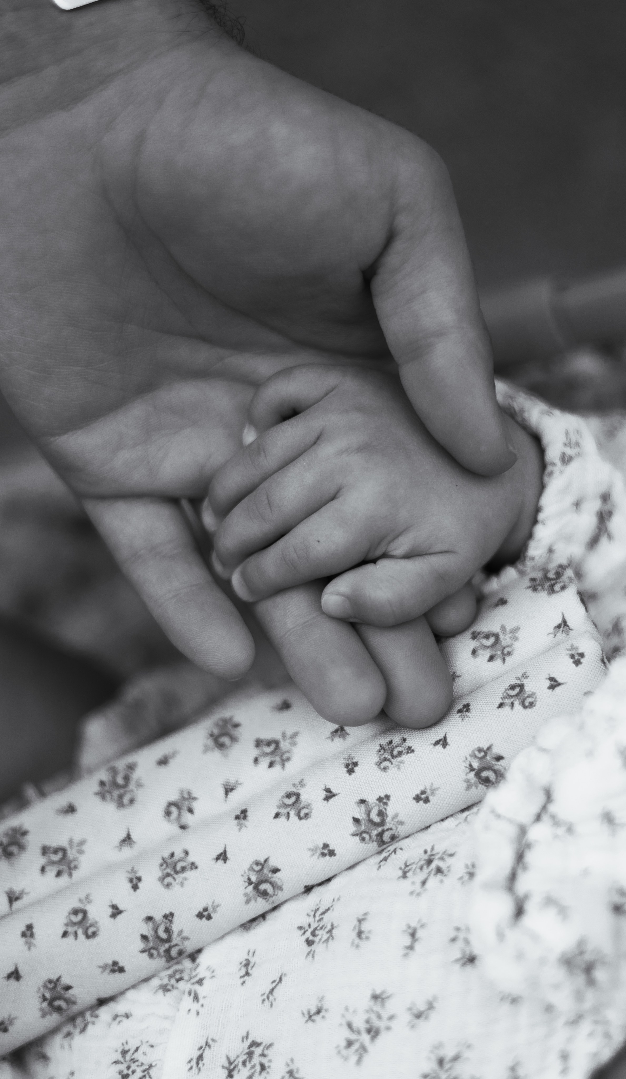 Про семью. Семейный фотограф в Москве