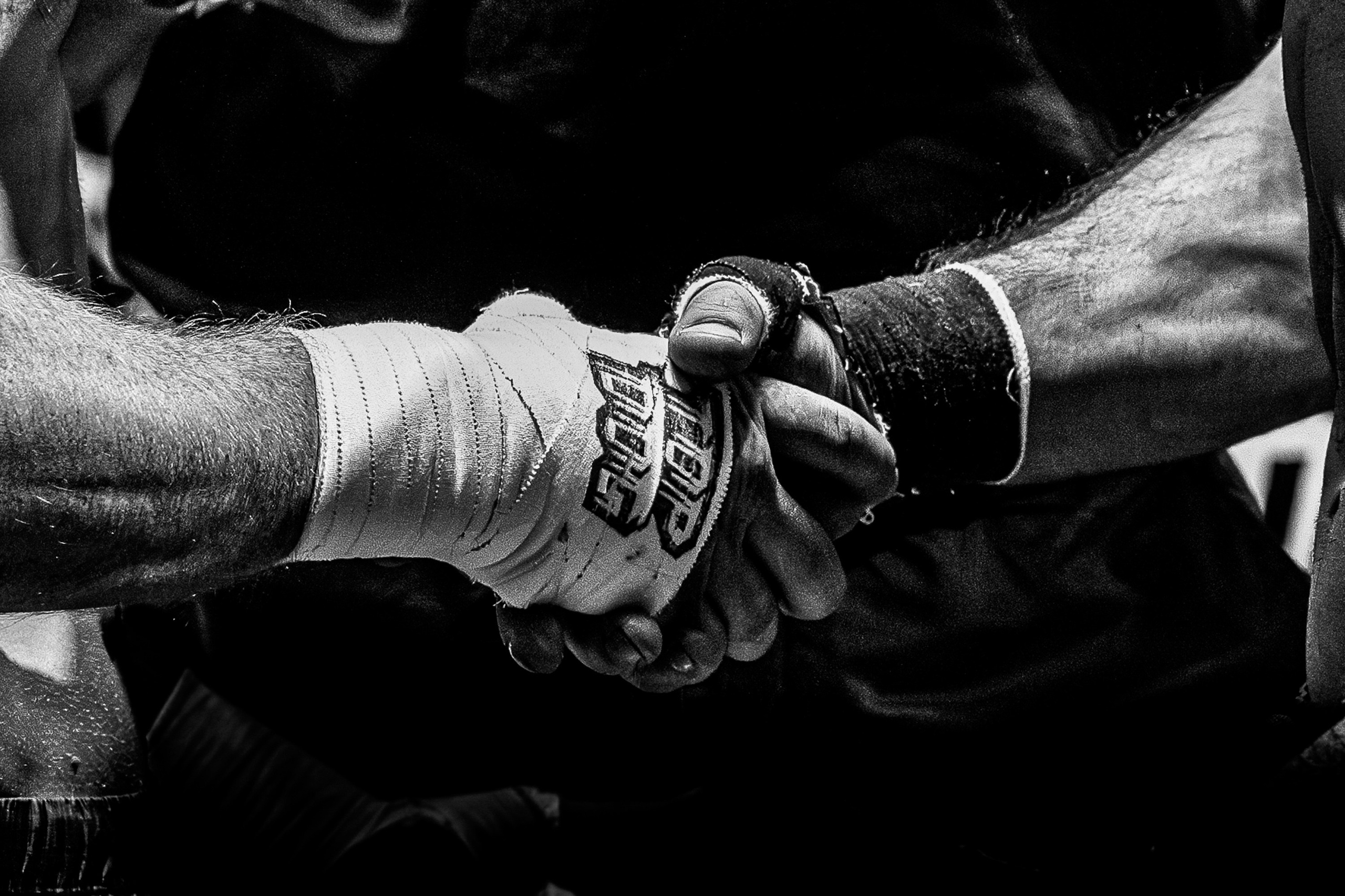 TOP DOG 2. Максим Комаров — Профессиональный фотограф