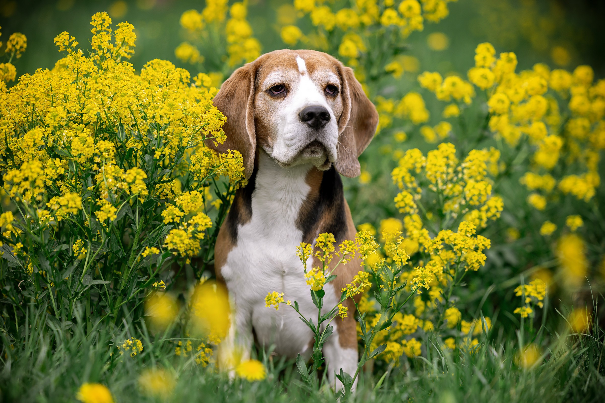 3–4 мая 2025, Казахстан, г. Астана. Htykk_photo