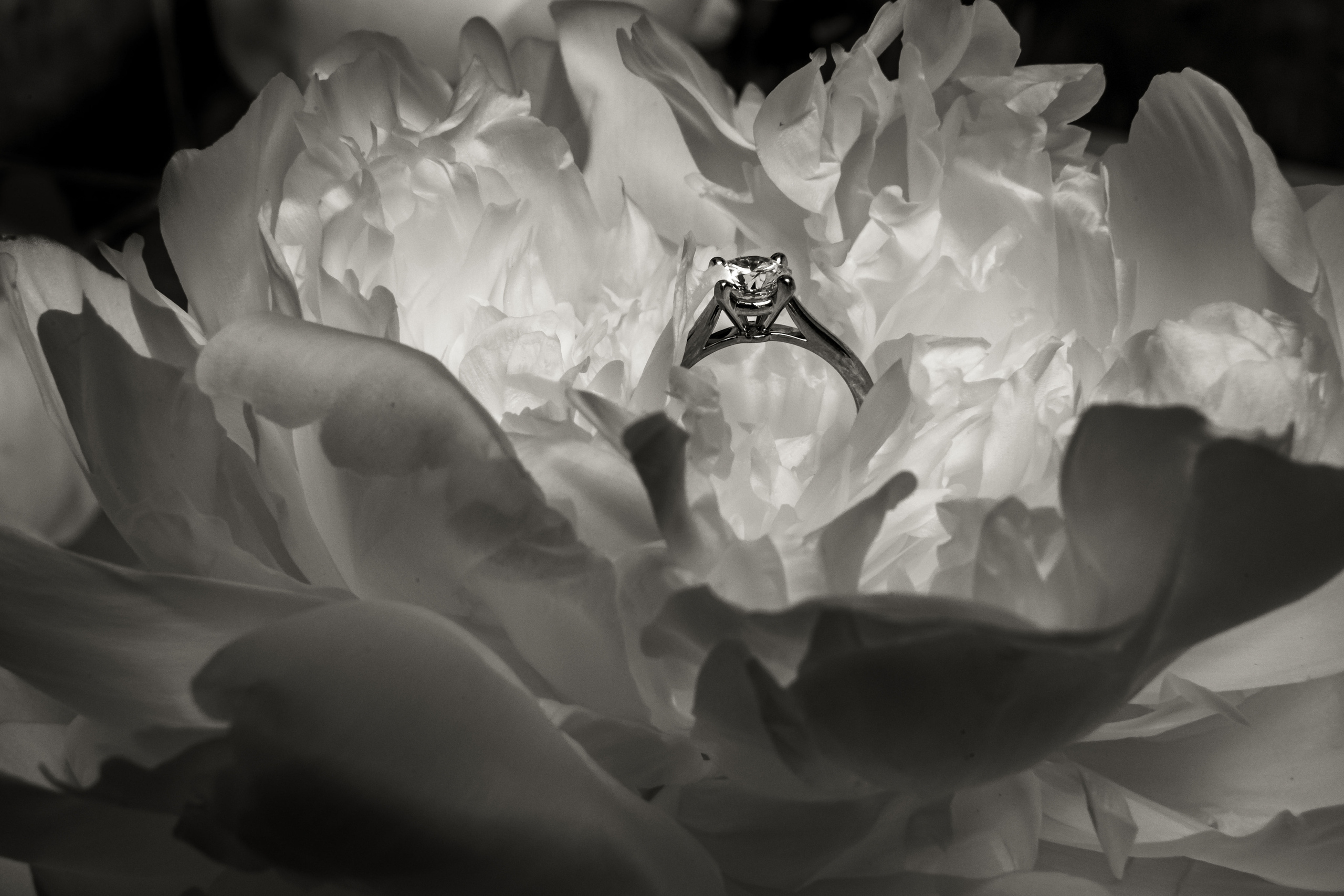 Влад & Настя. Свадебный фотограф  Байжанов Марат