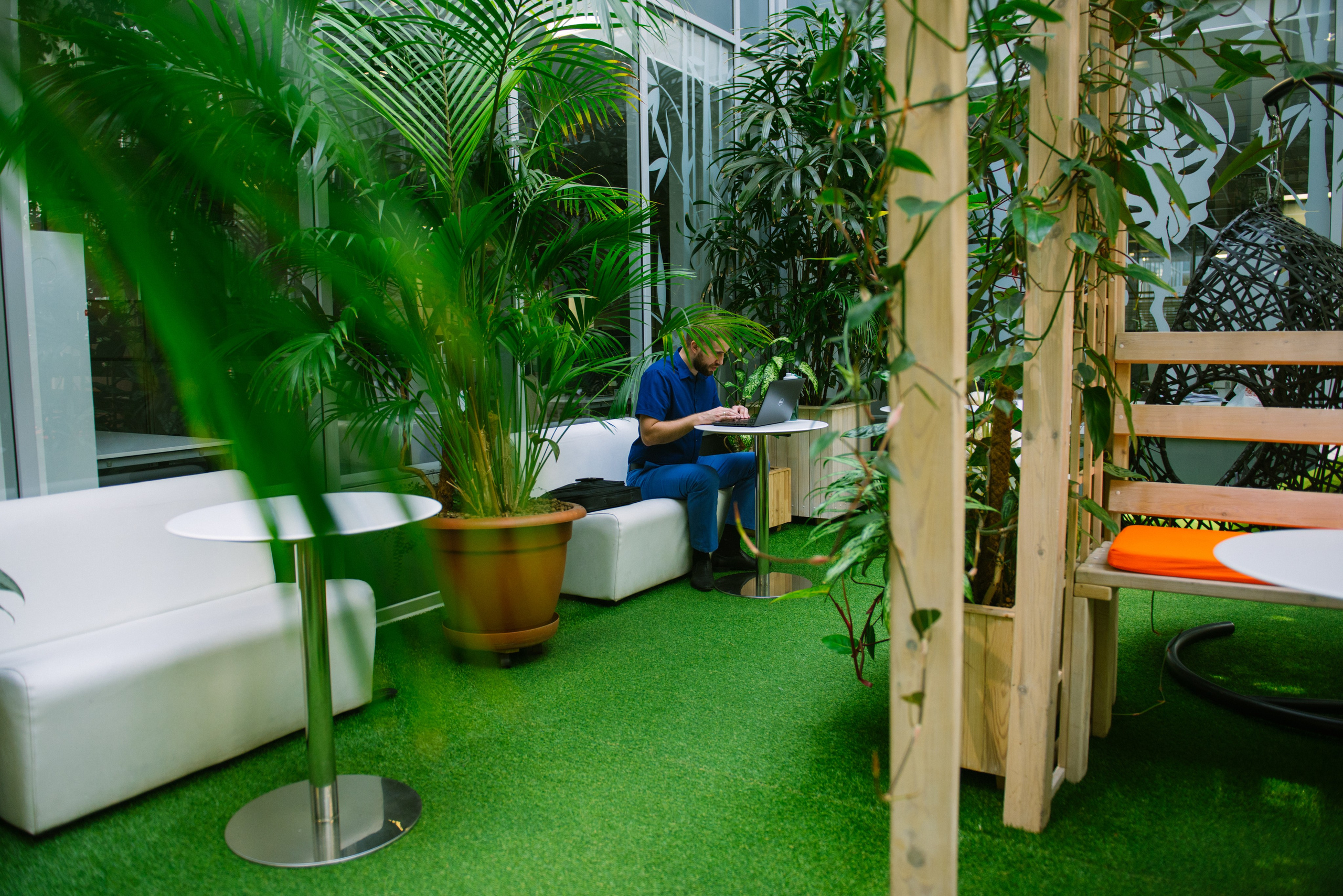 IBS. Фотограф Оля Батист