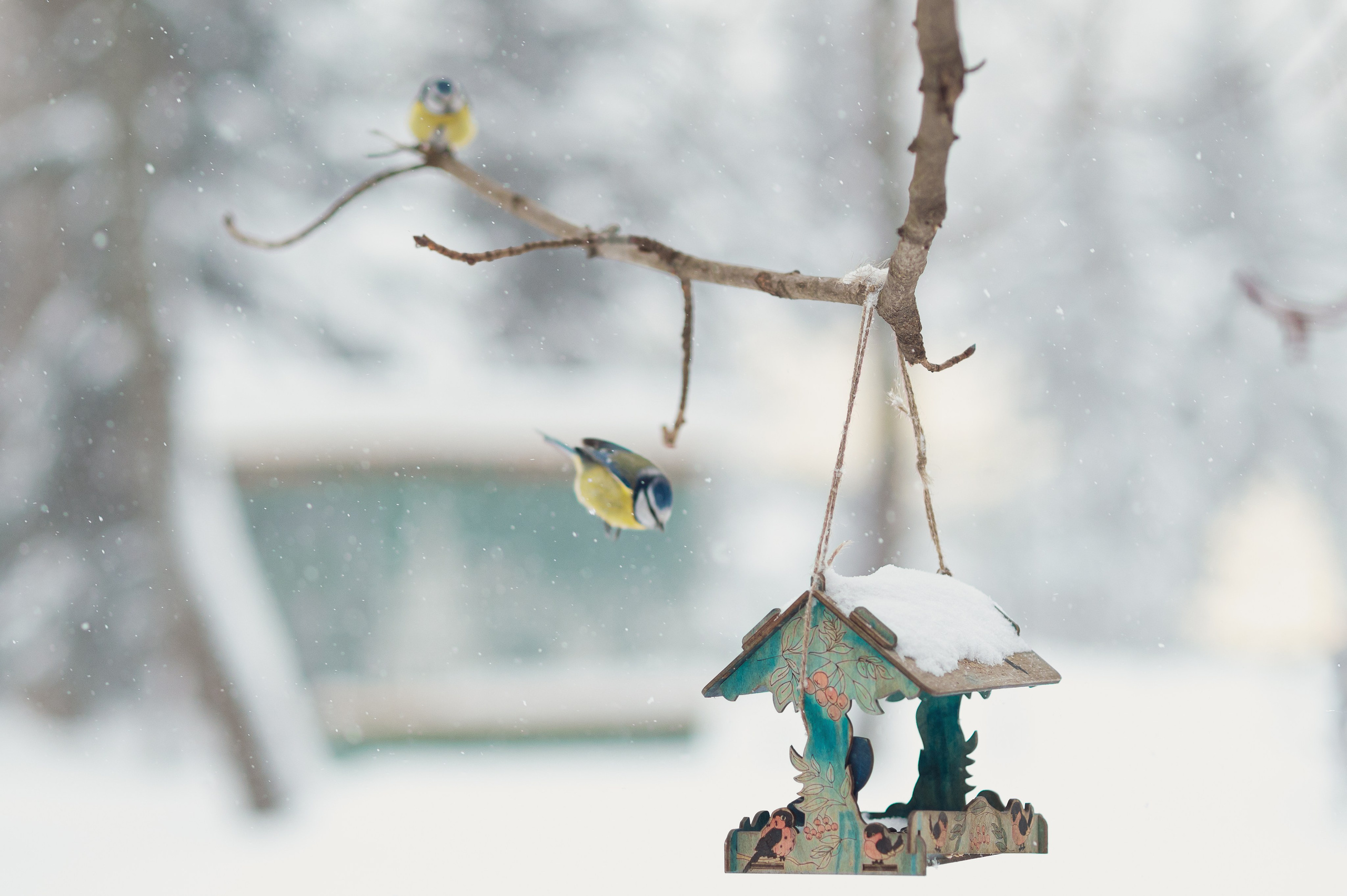 Фотограф в Москве Полина Старцева
