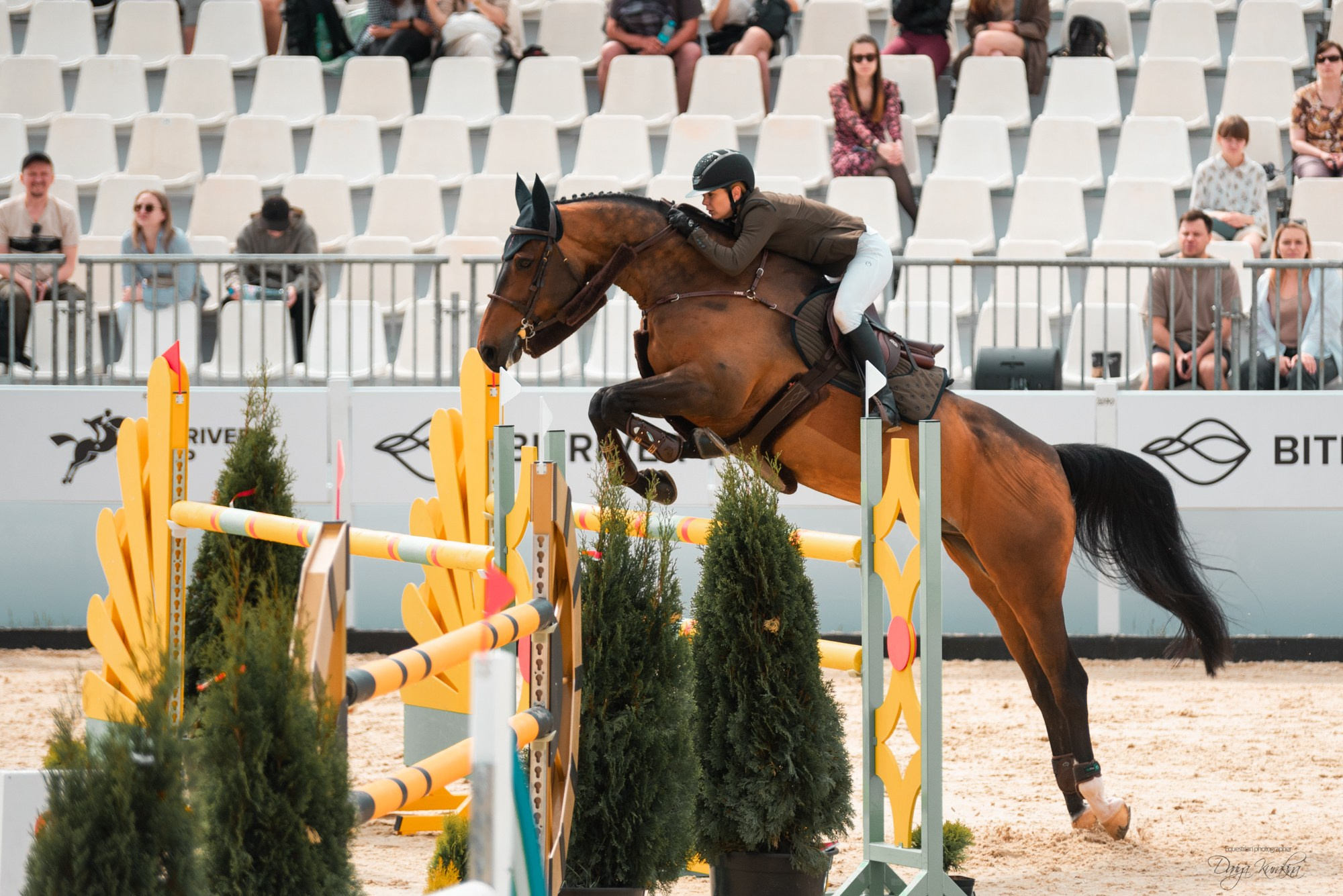 BITRIVER CUP 2023. Конный фотограф Куракина Дарья • Фотосессии с лошадьми