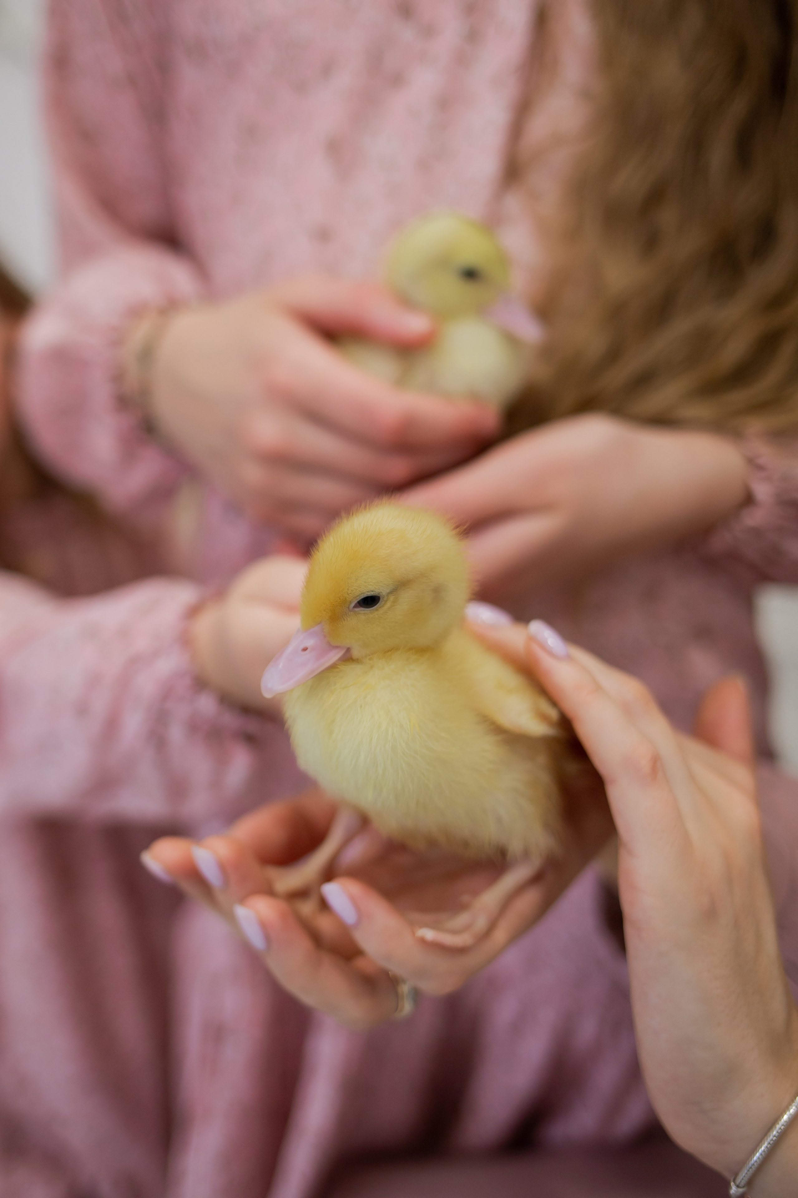 Анастасия, Алиса и Ксения. Семейный фотограф Николаева Ольга