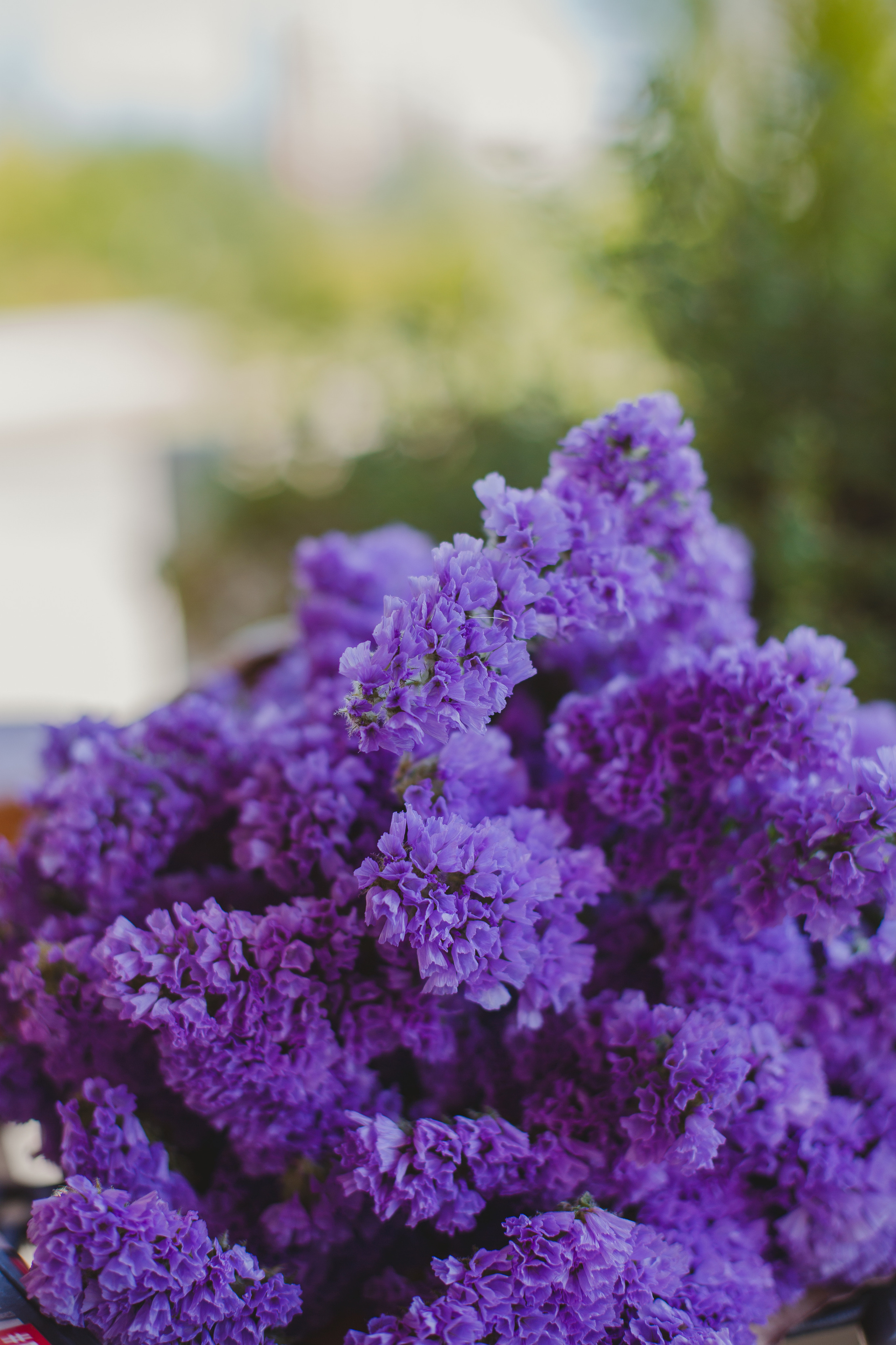 Настя. Семейный фотограф Николаева Ольга