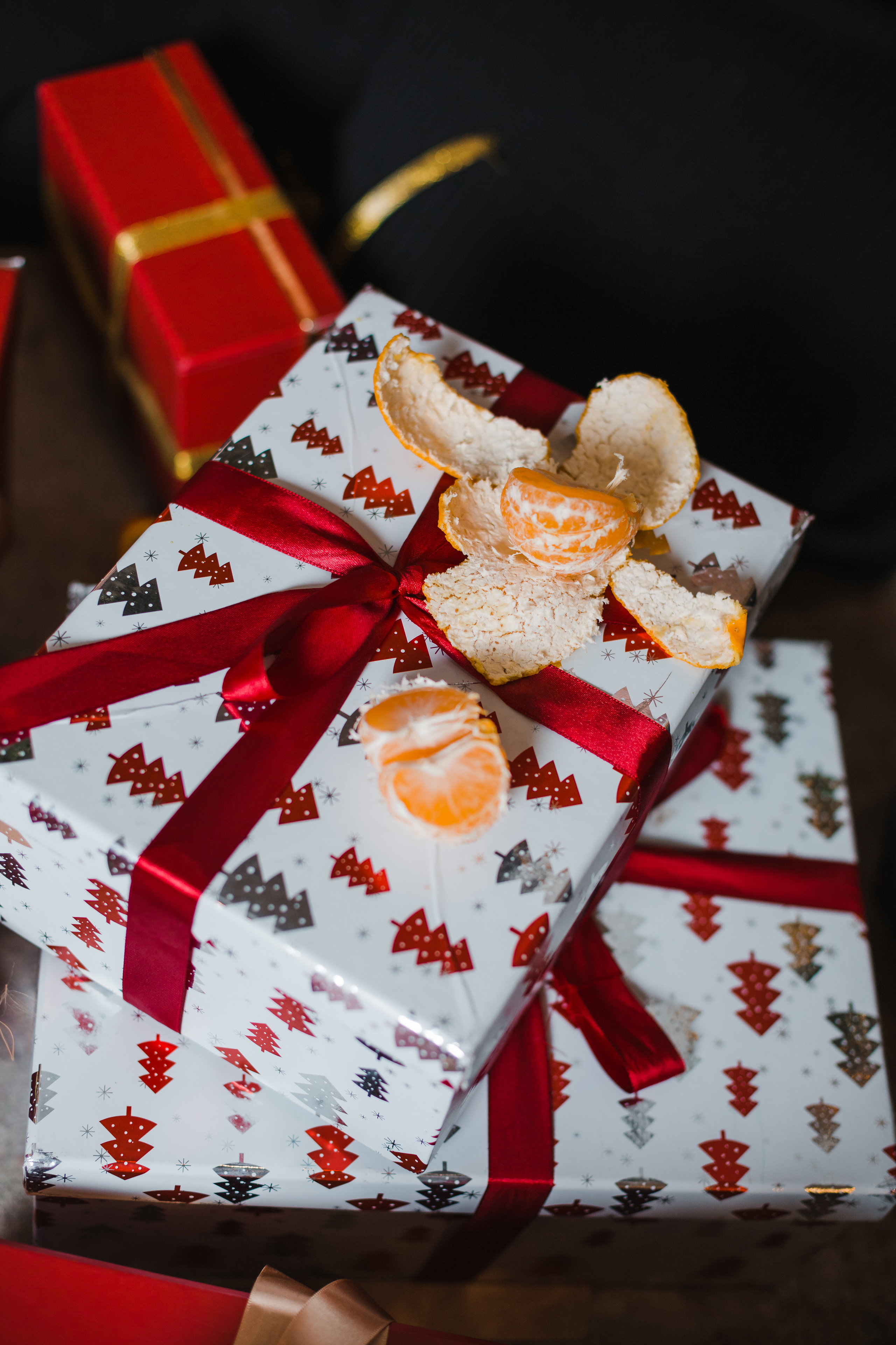 Женский клуб Весна. Семейный фотограф Николаева Ольга