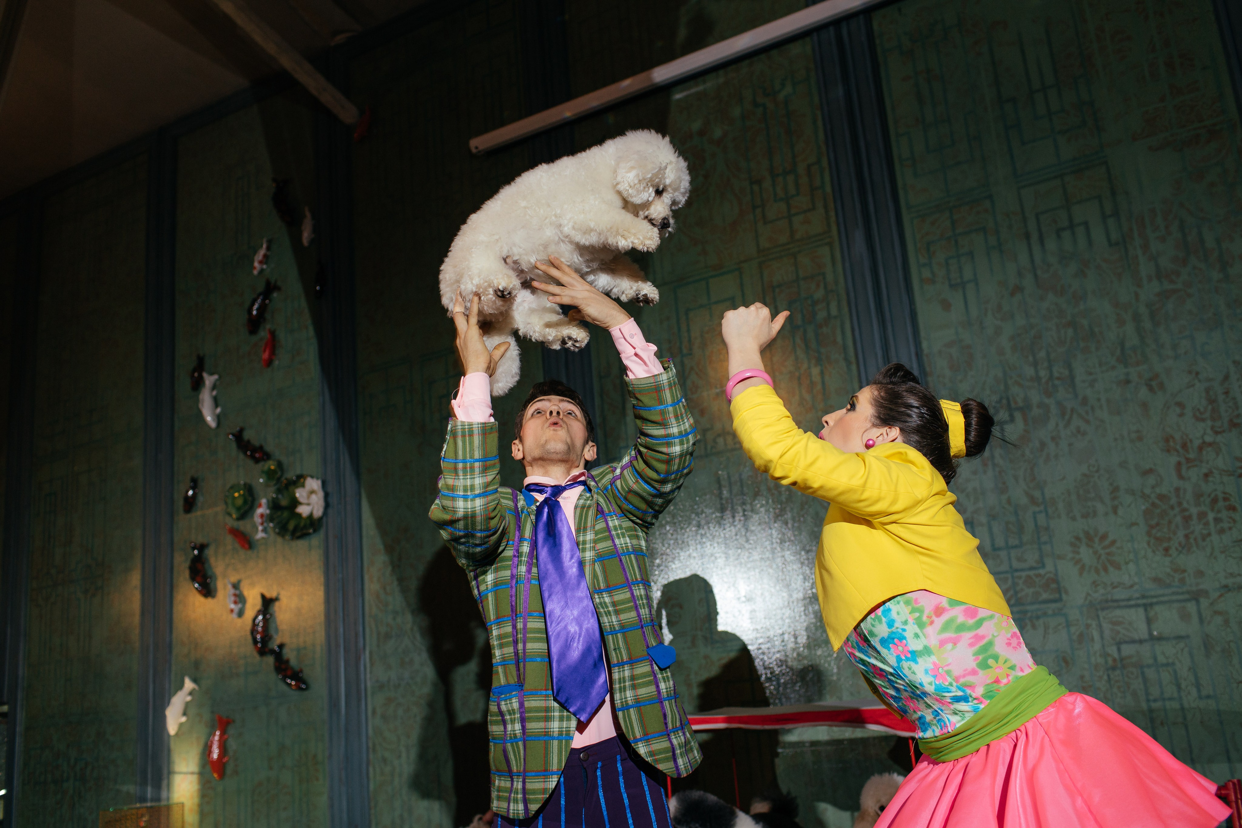 Алине 7 лет. Свадебный и семейный фотограф