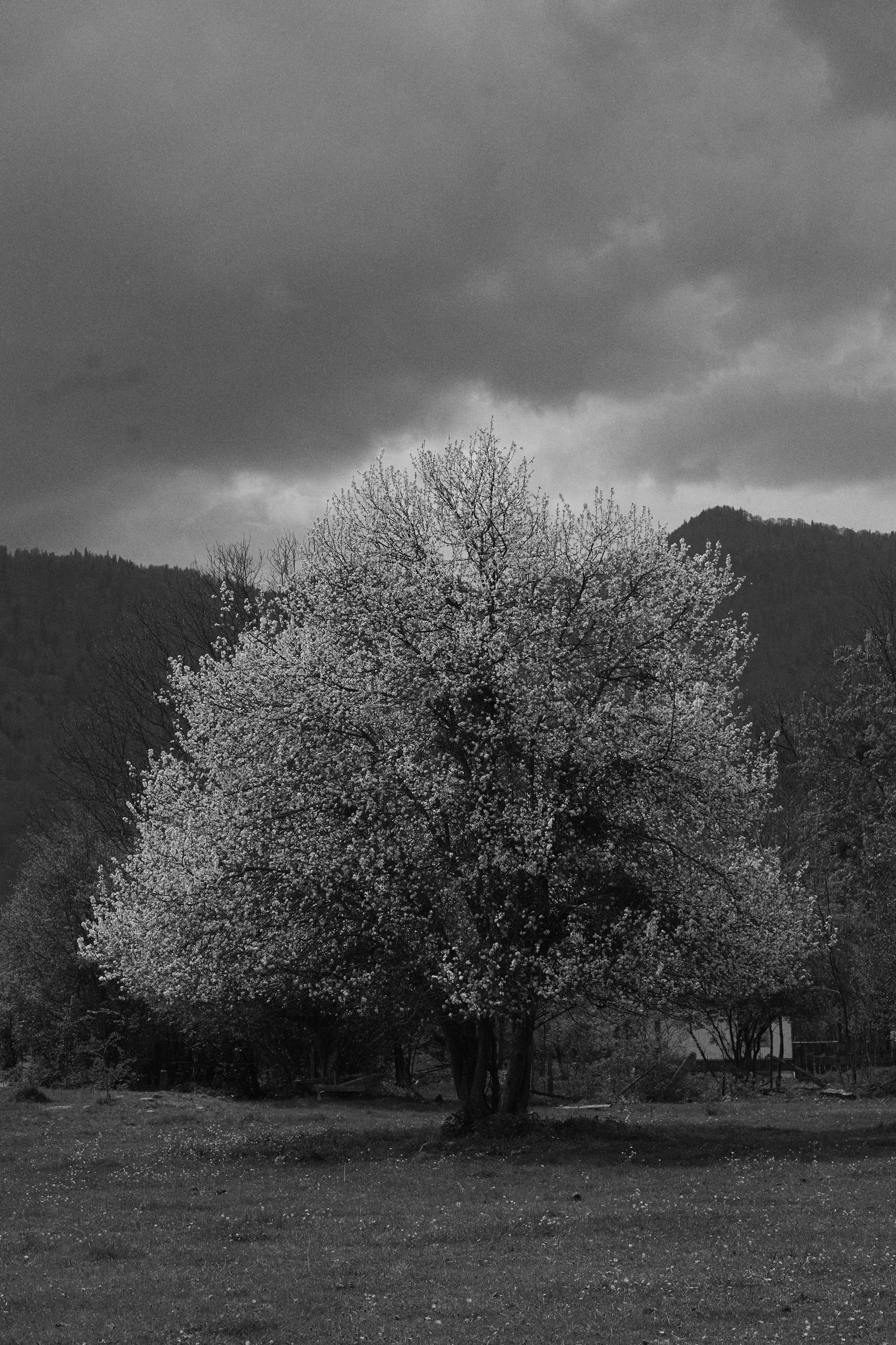 Krasnodar. Гасанова Алина|Фотограф в Санкт-Петербурге