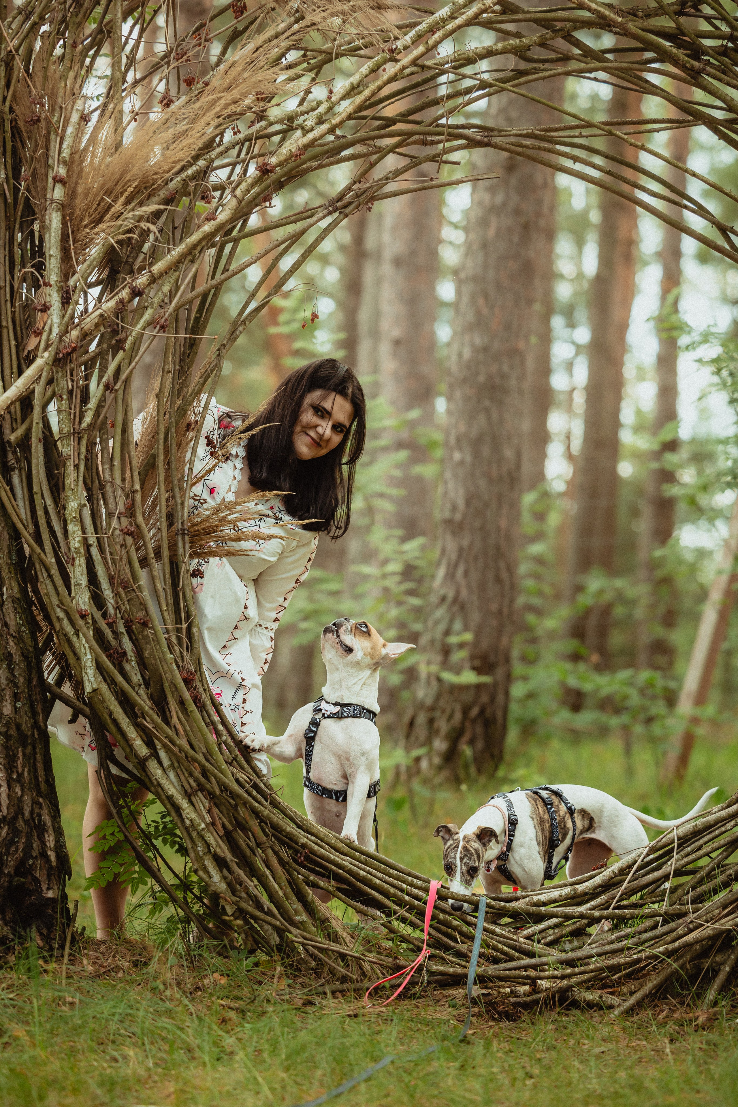 Выездной дог-тренинг от школы «Шерсть имею»