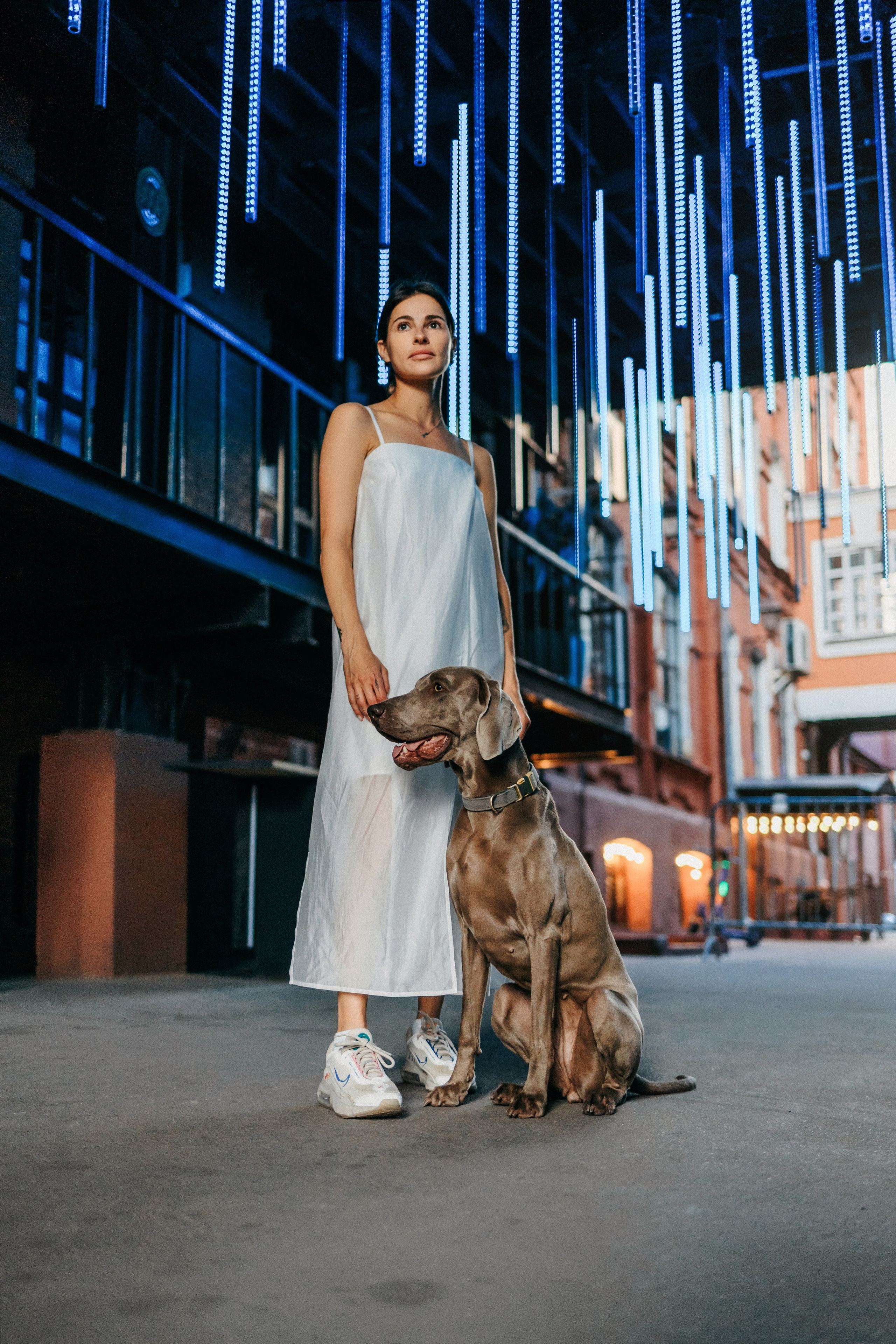 Соня и Майли. Фотограф-анималист Елена Радченко, Москва