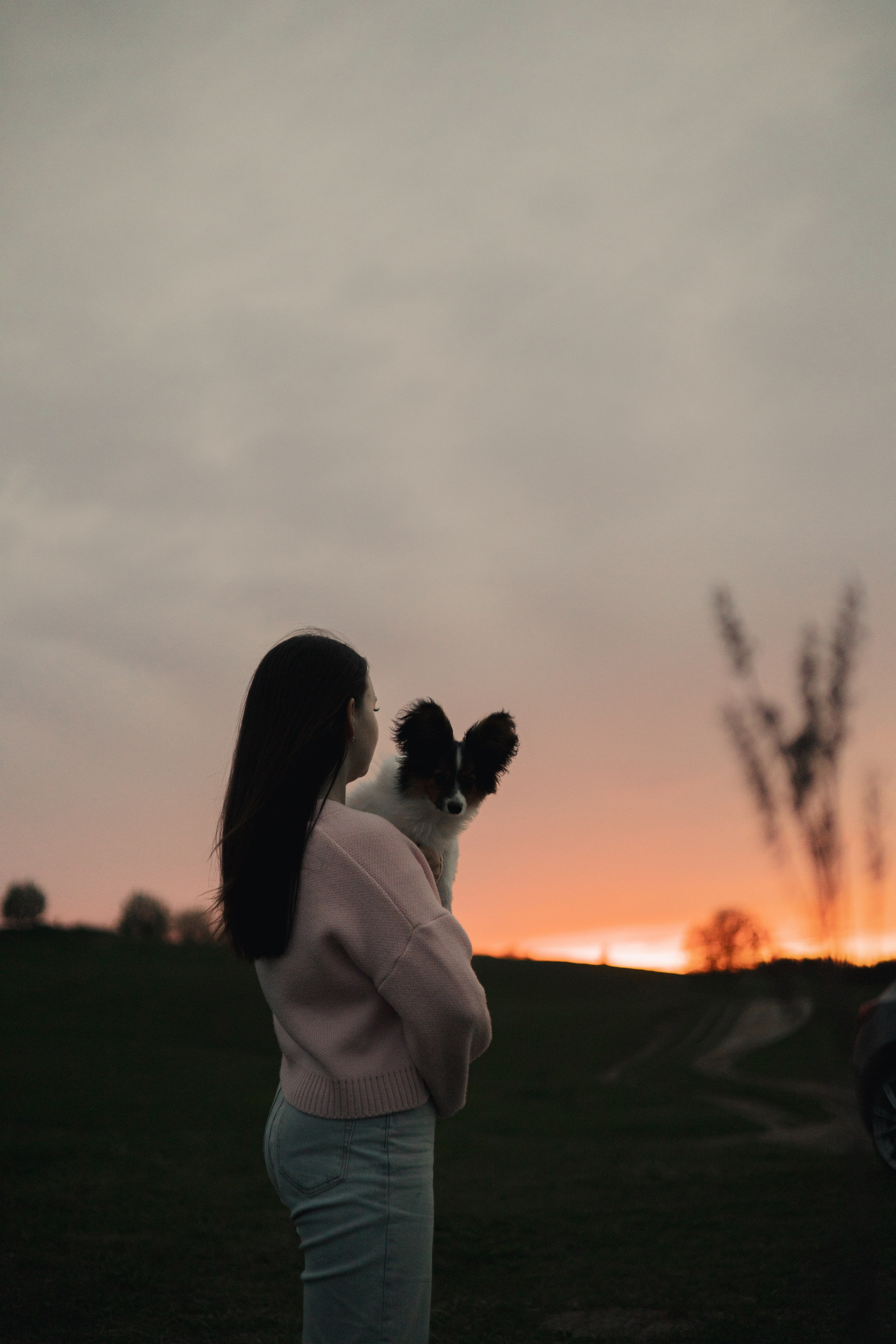 Вика и Бруни. Фотограф — анималист •love-story•|Санкт-Петербург