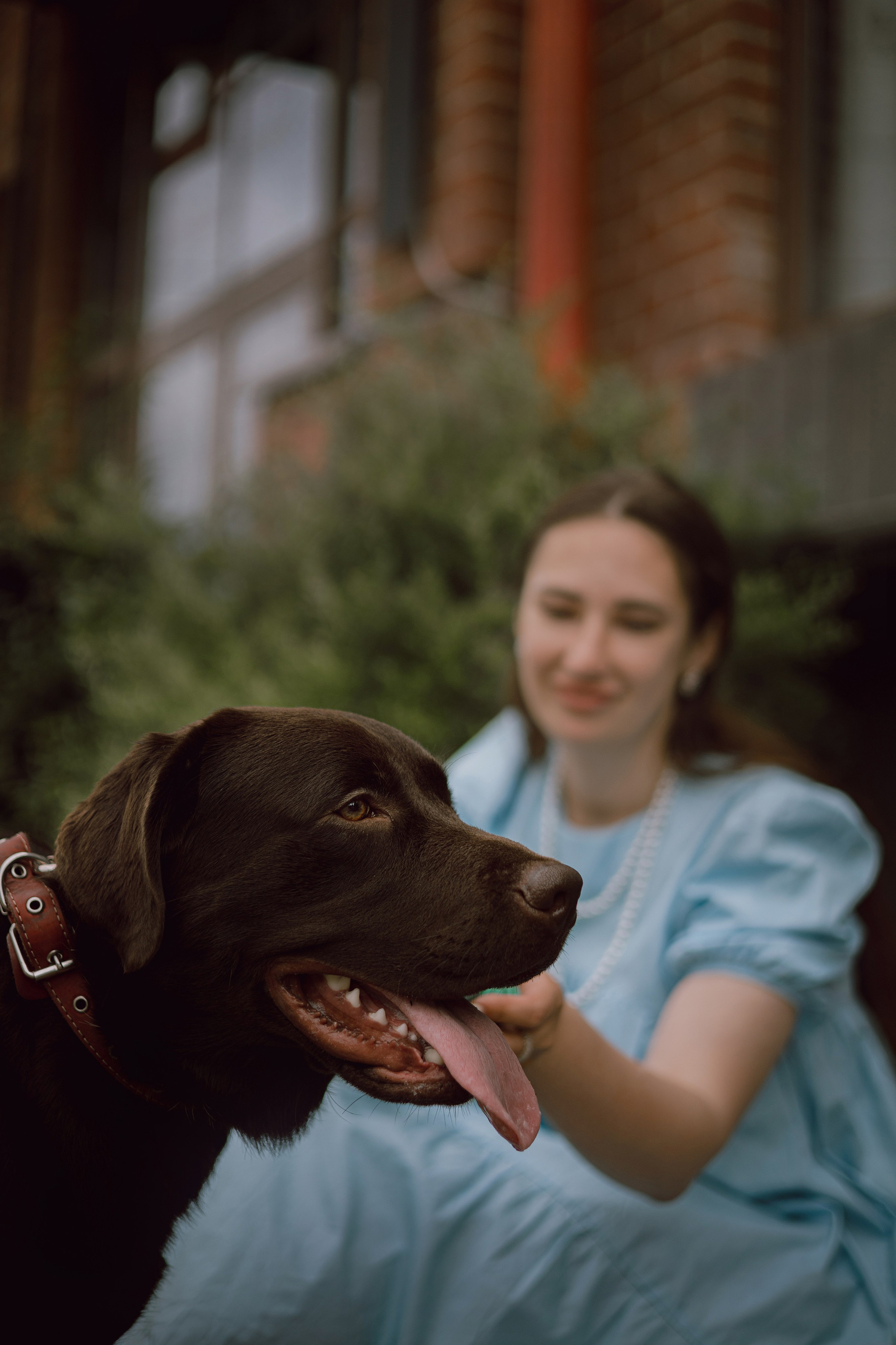 Оля и шоколадный Тимофей. Фотограф — анималист •love-story•|Санкт-Петербург