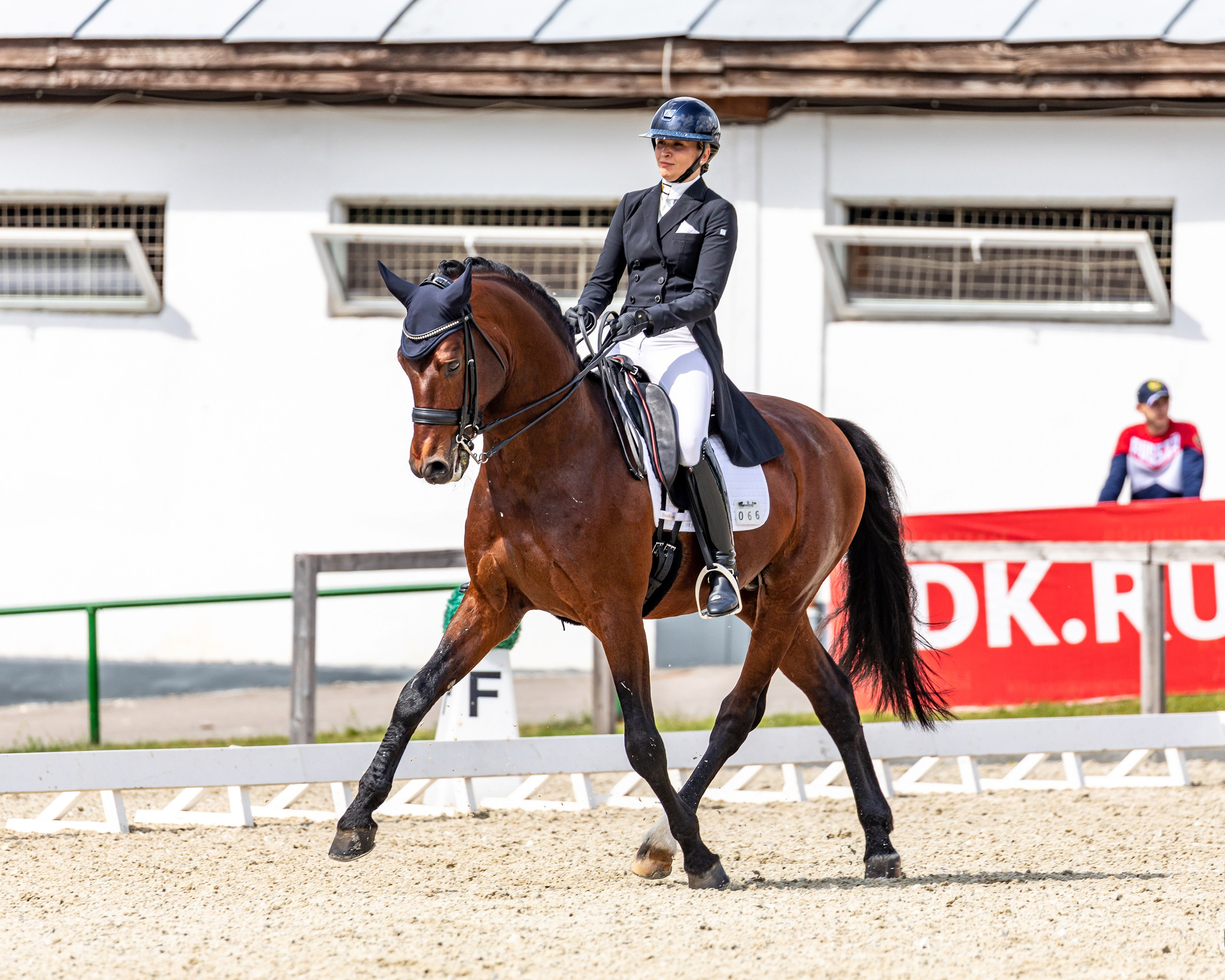 Выездка. Mrs.Aquarelia Конный фотограф Марианна Леонтьева