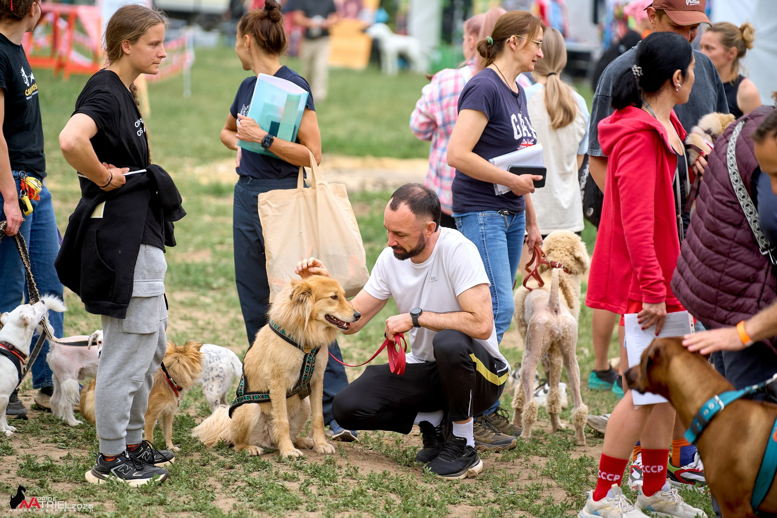 Russian Extreme Dog Trail — 2025