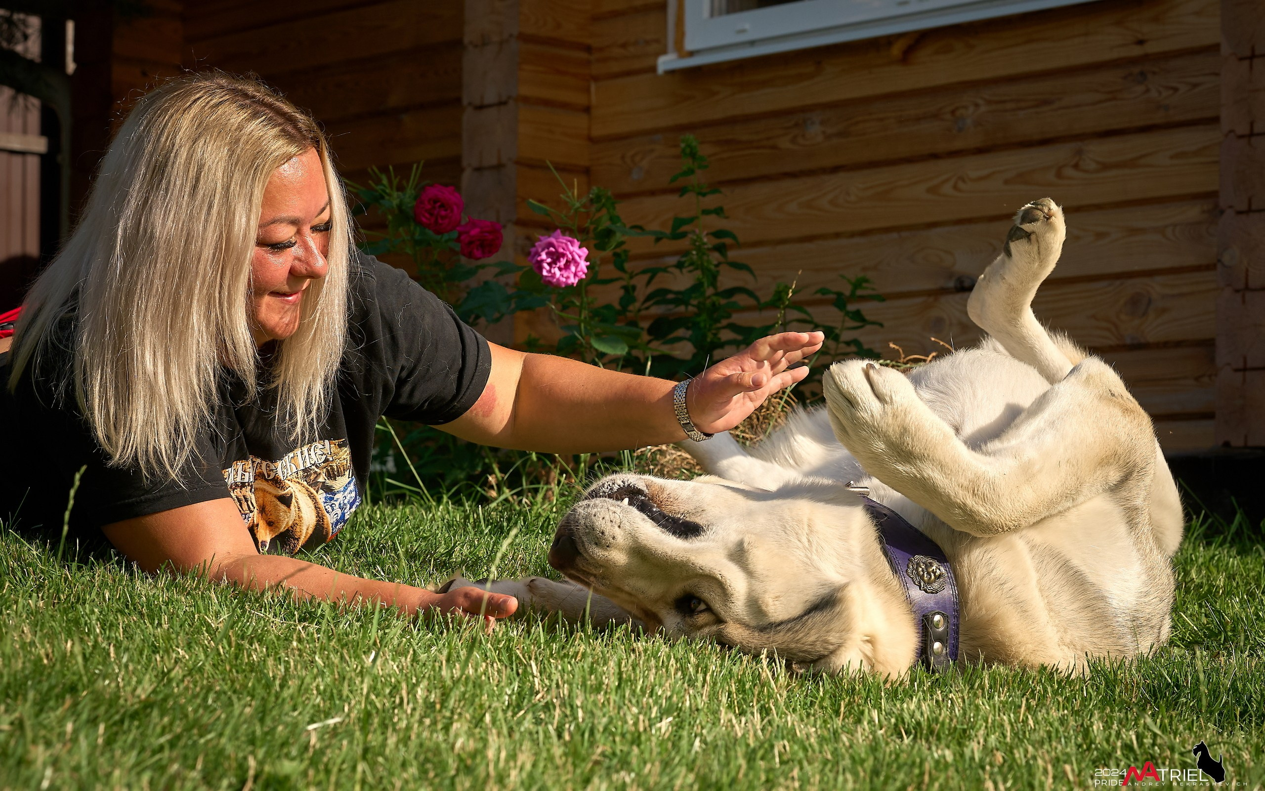 Съемка собак с выездом к Вам в дом