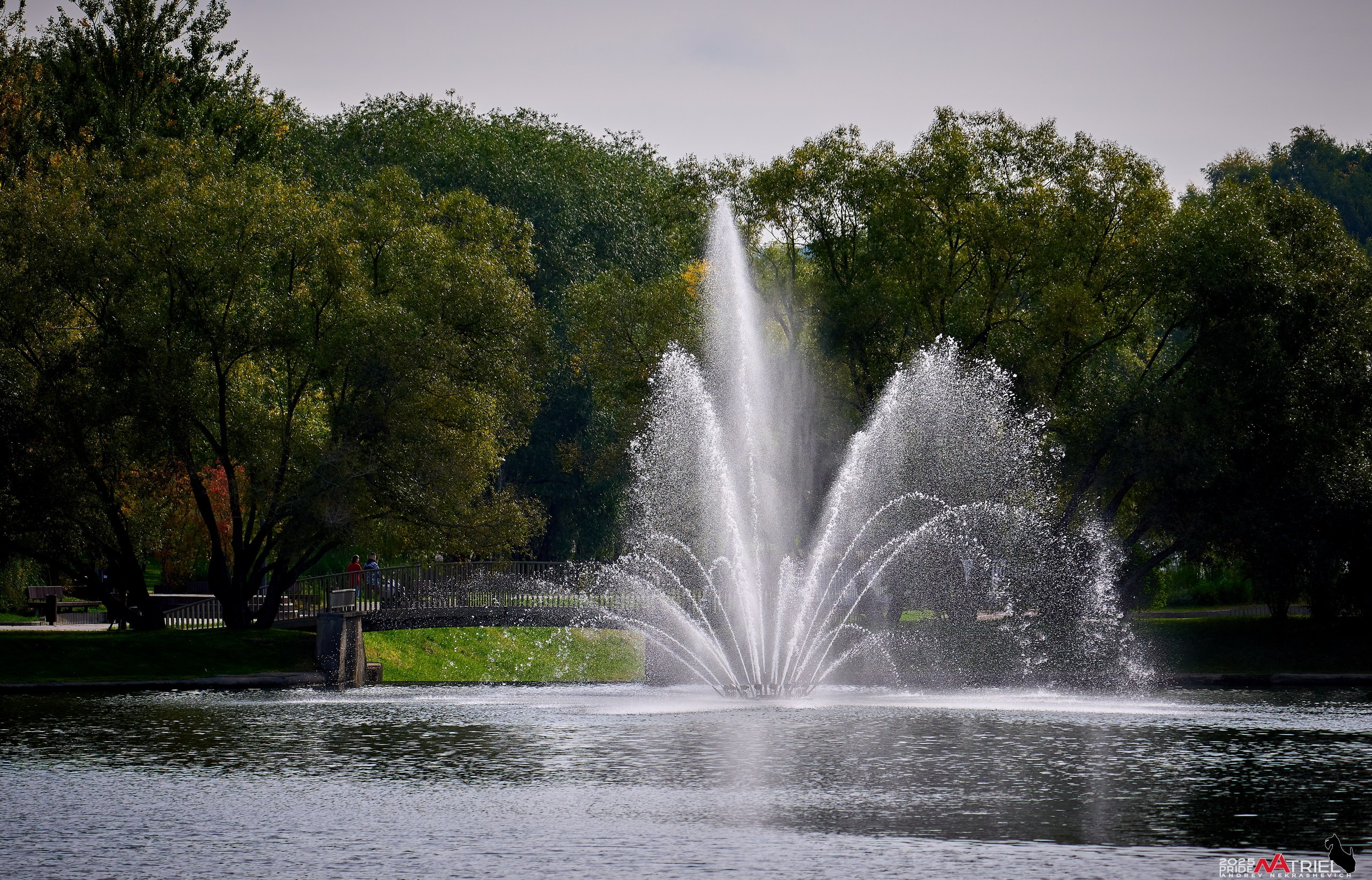 Съемка с объективом Sony 200-600 на камеру Sony A1m2