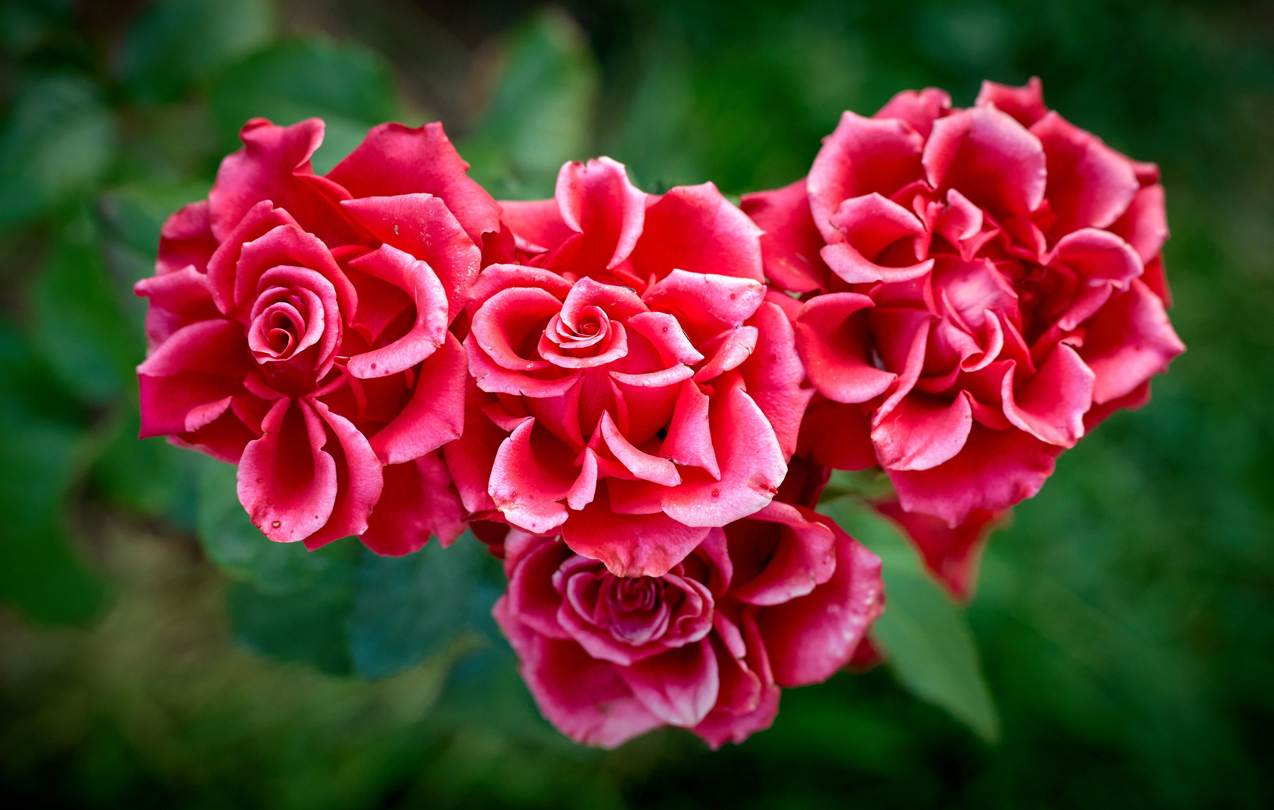 Лютики-цветочки — галерея NATRIEL