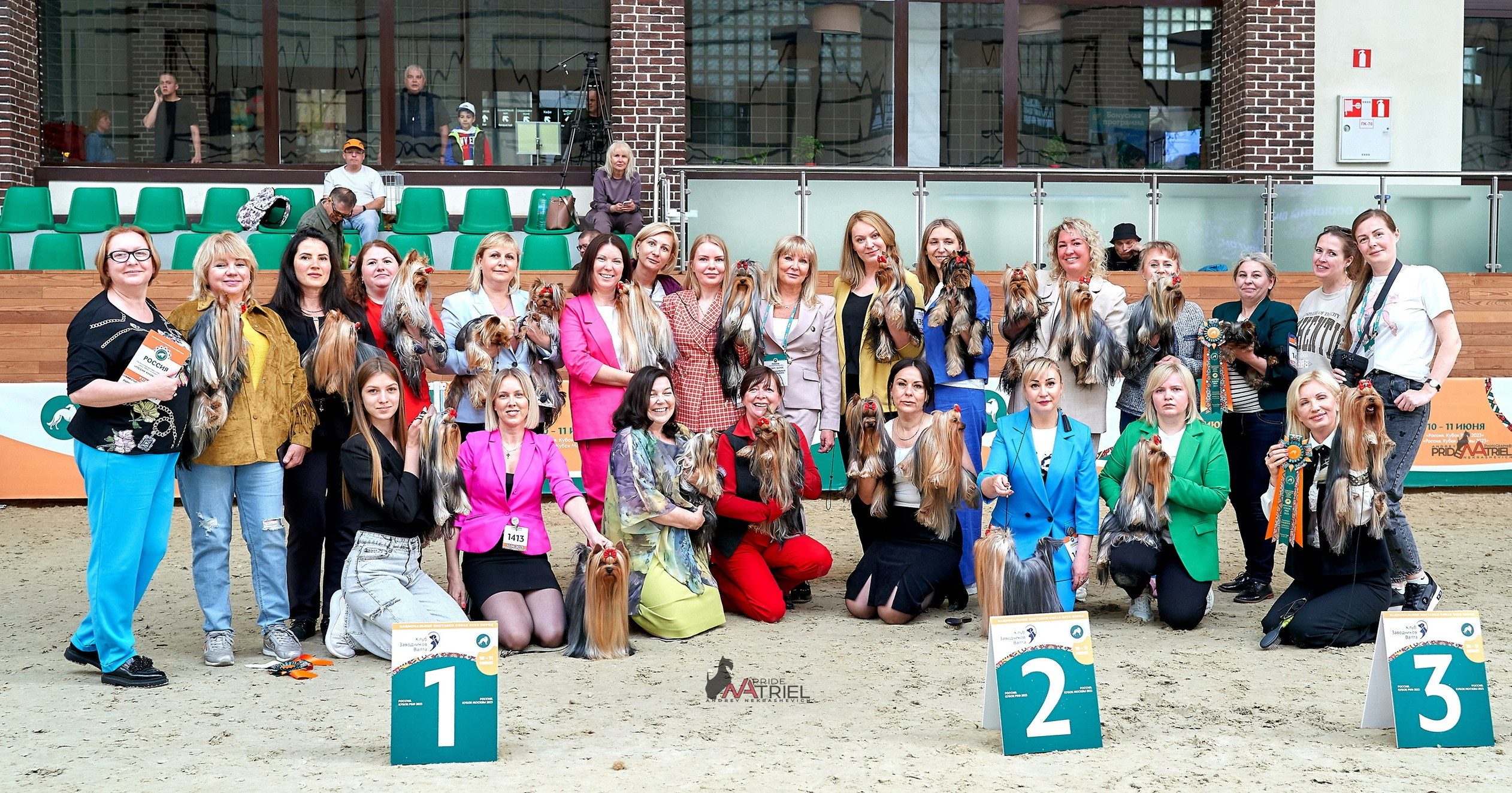 Призовые места — галерея NATRIEL