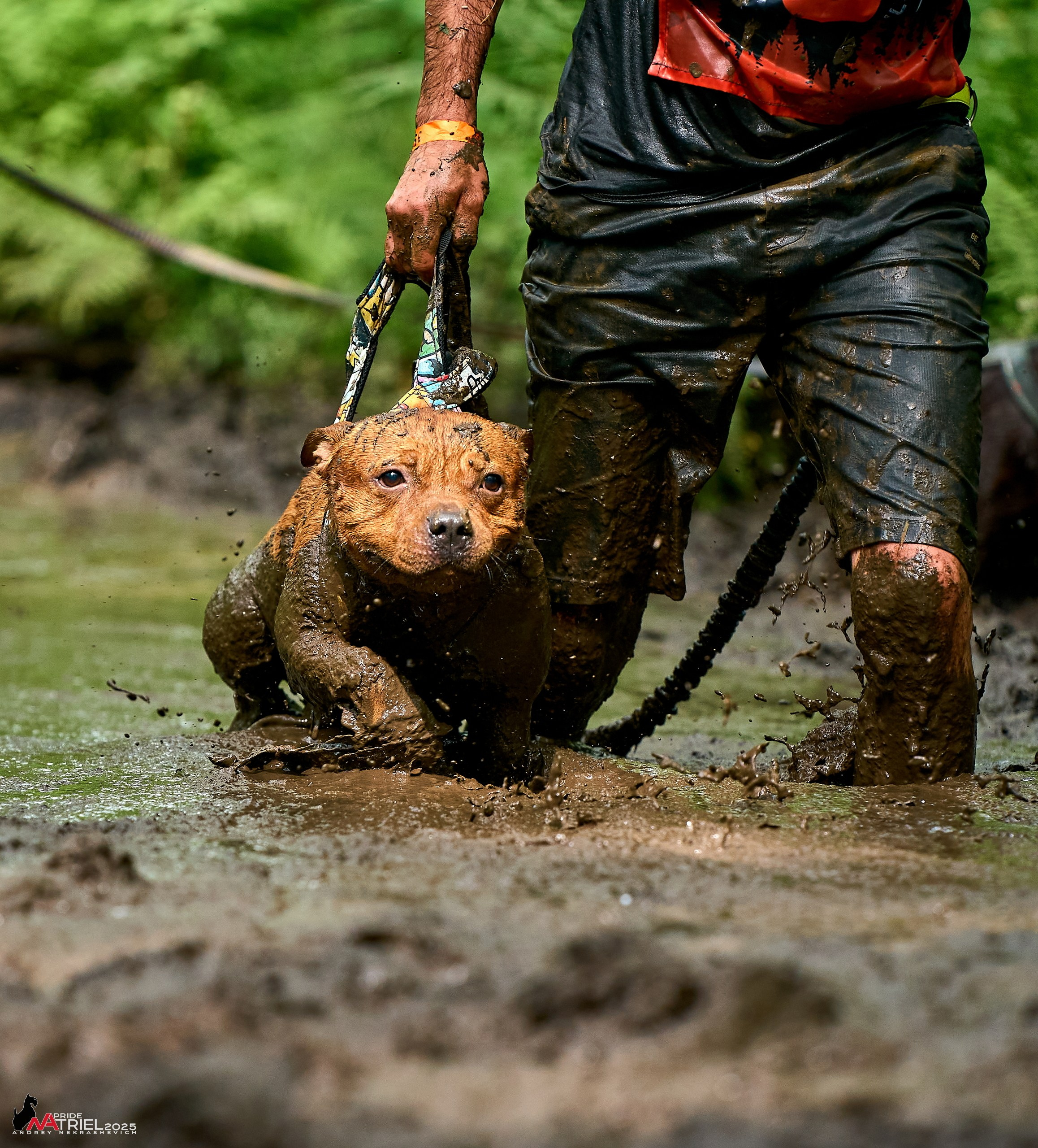 Russian Extreme Dog Trail — 2025