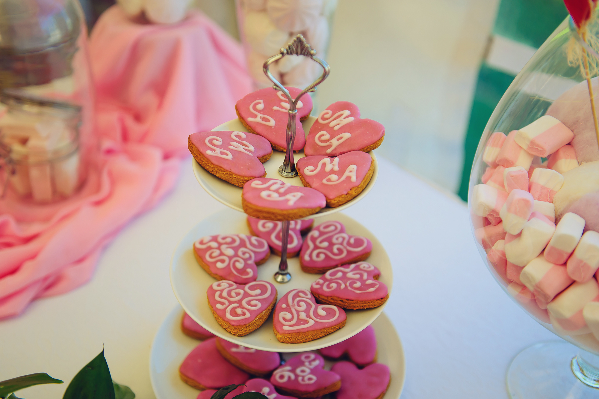 Анна и Михаил. Свадебный и семейный фотограф в Новосибирске Александр Счастный