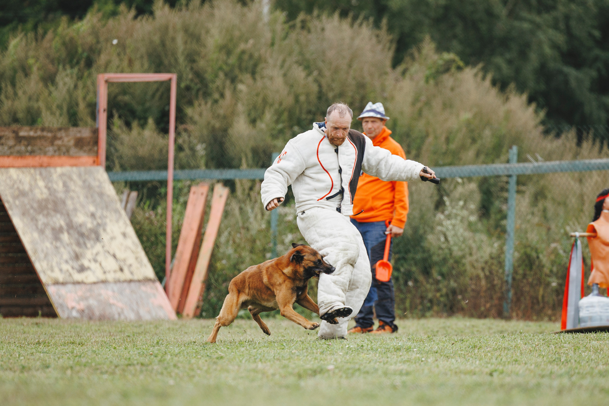 08.08.25-10.08.25 ЧР по мондьорингу г. Вологда. Фотограф-анималист Анна Маринич