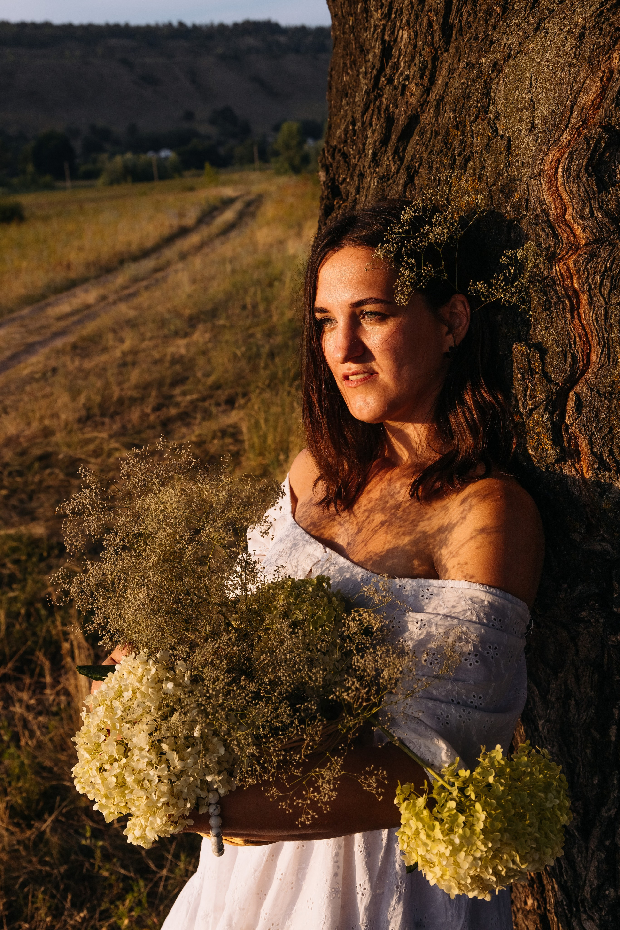 Д р е в о. Romashka photo