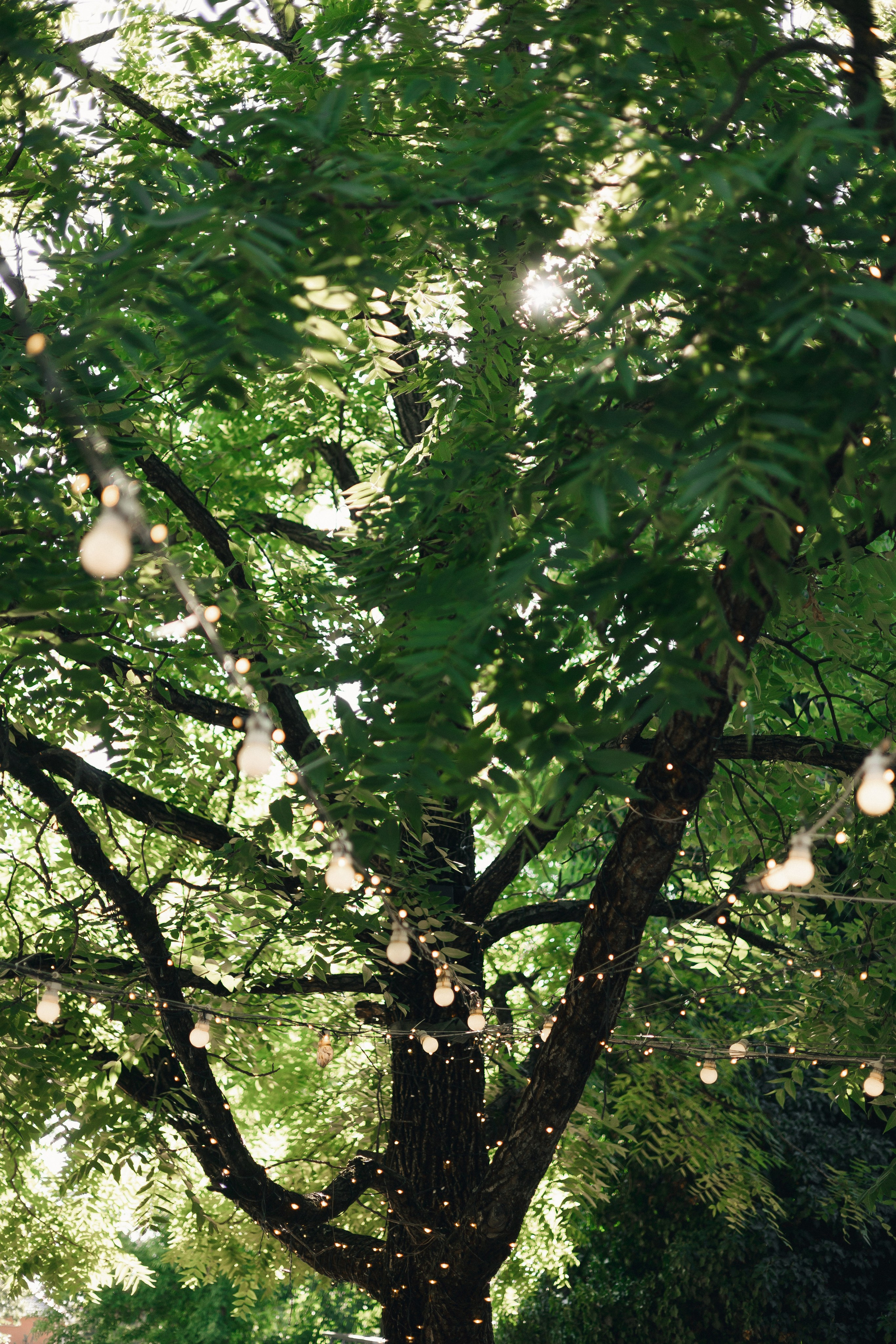 T&M. Свадебный фотограф в Краснодаре Татьяна Гура