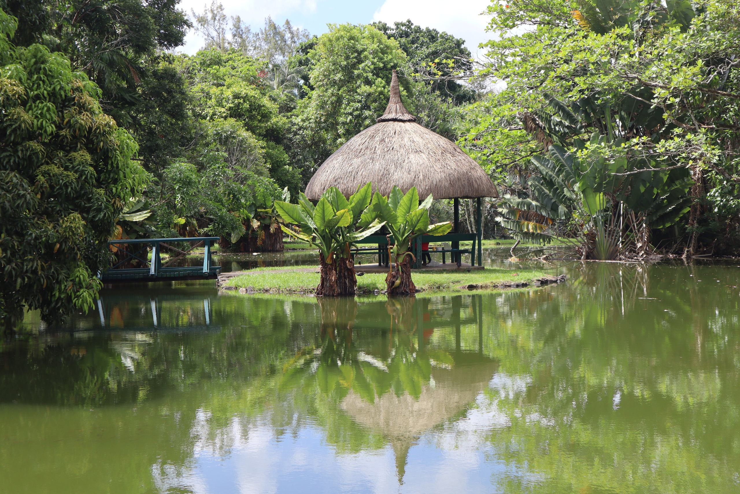 Путешествие на родину птицы додо. Travel photographer Ksenia