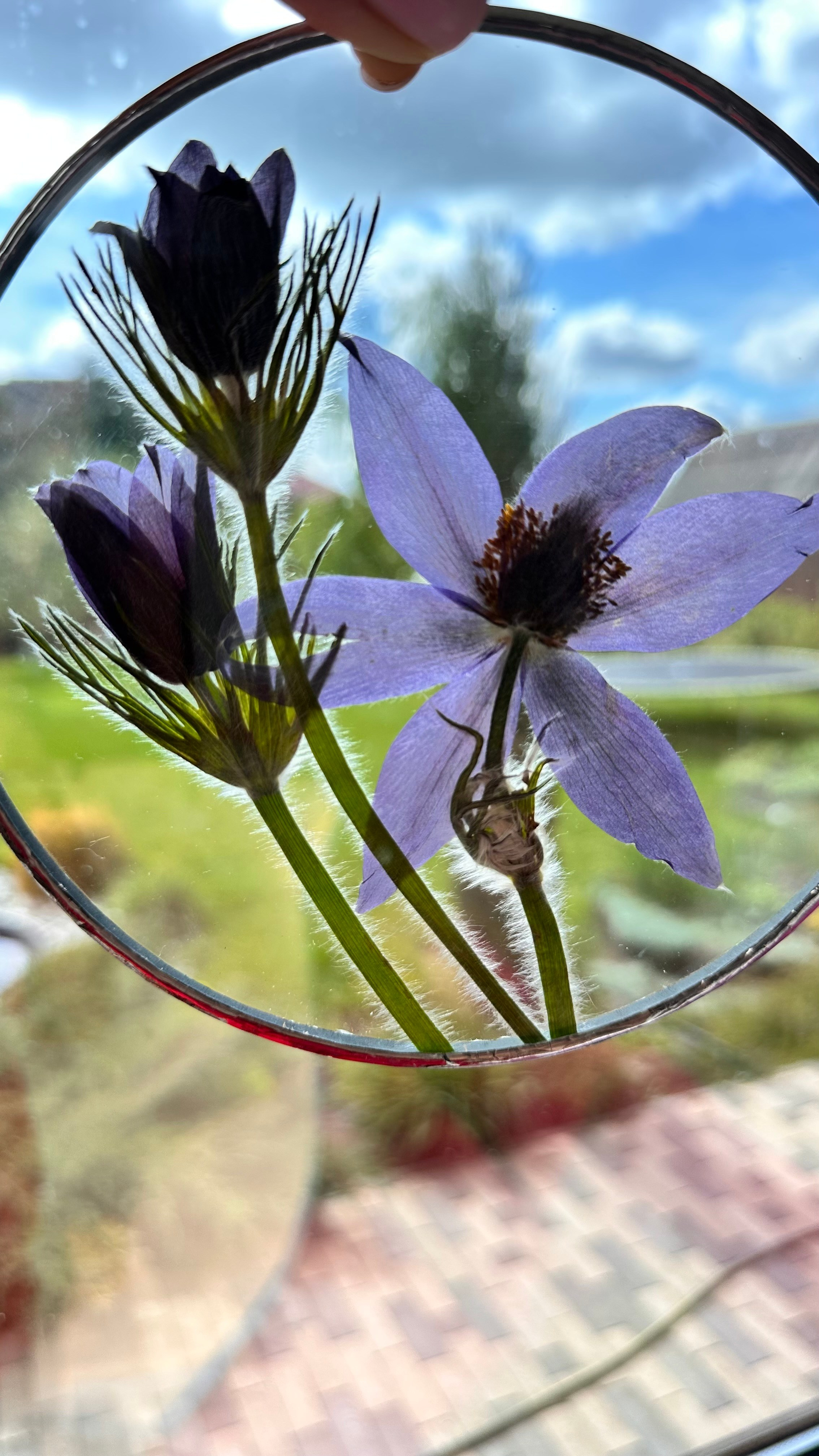 Засушенные цветы в раме витраж техника тиффани. Гербарий в стекле, интерьерные панно, витражи с сухоцветами в технике тиффани