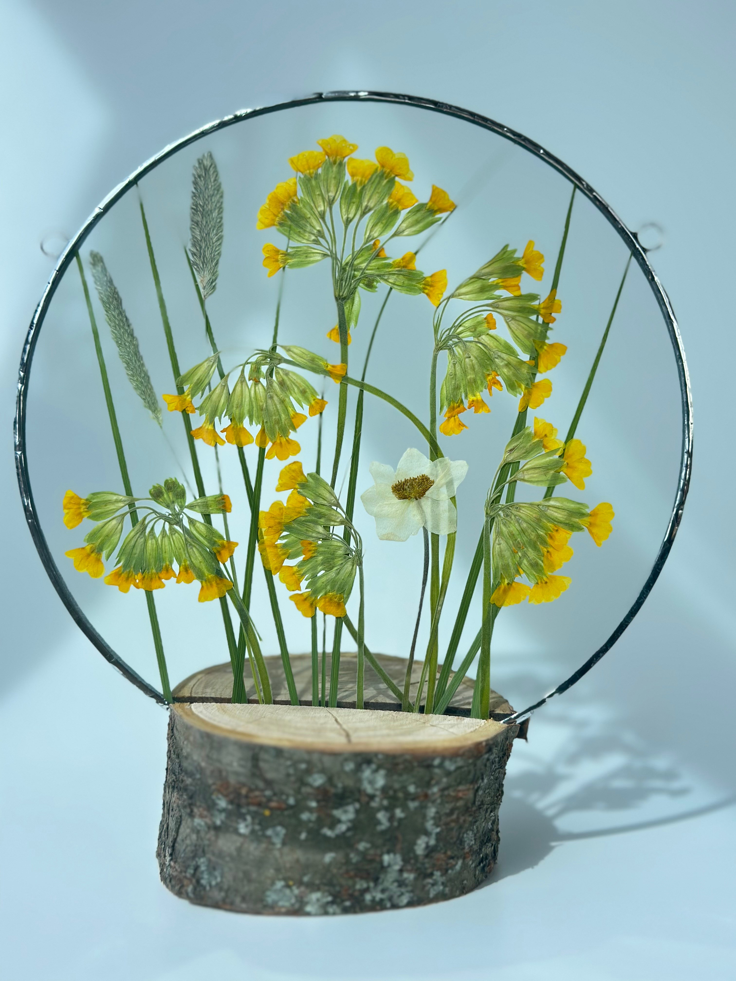 Сухоцветы под стеклом (витраж гербарий техника тиффани). Гербарий в стекле, интерьерные панно, витражи с сухоцветами в технике тиффани