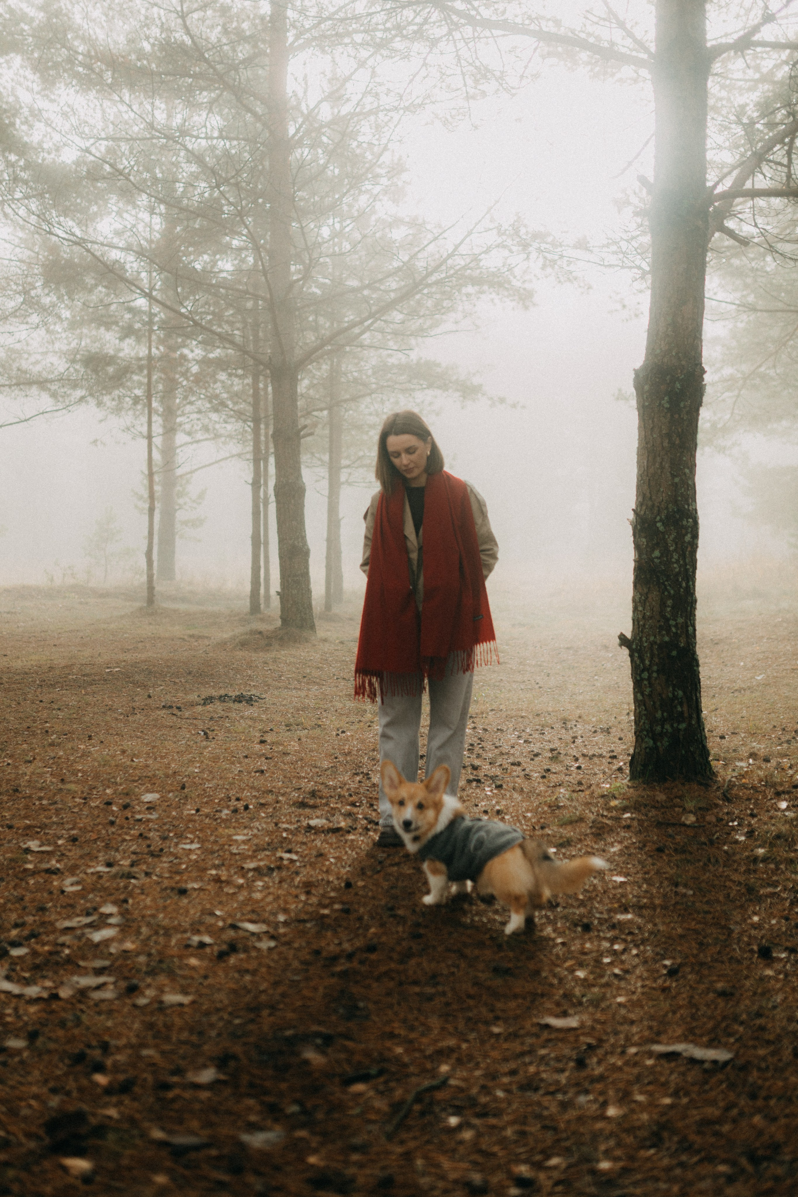 Алина. Фотограф НОГИНСК, Москва, Анастасия Белая