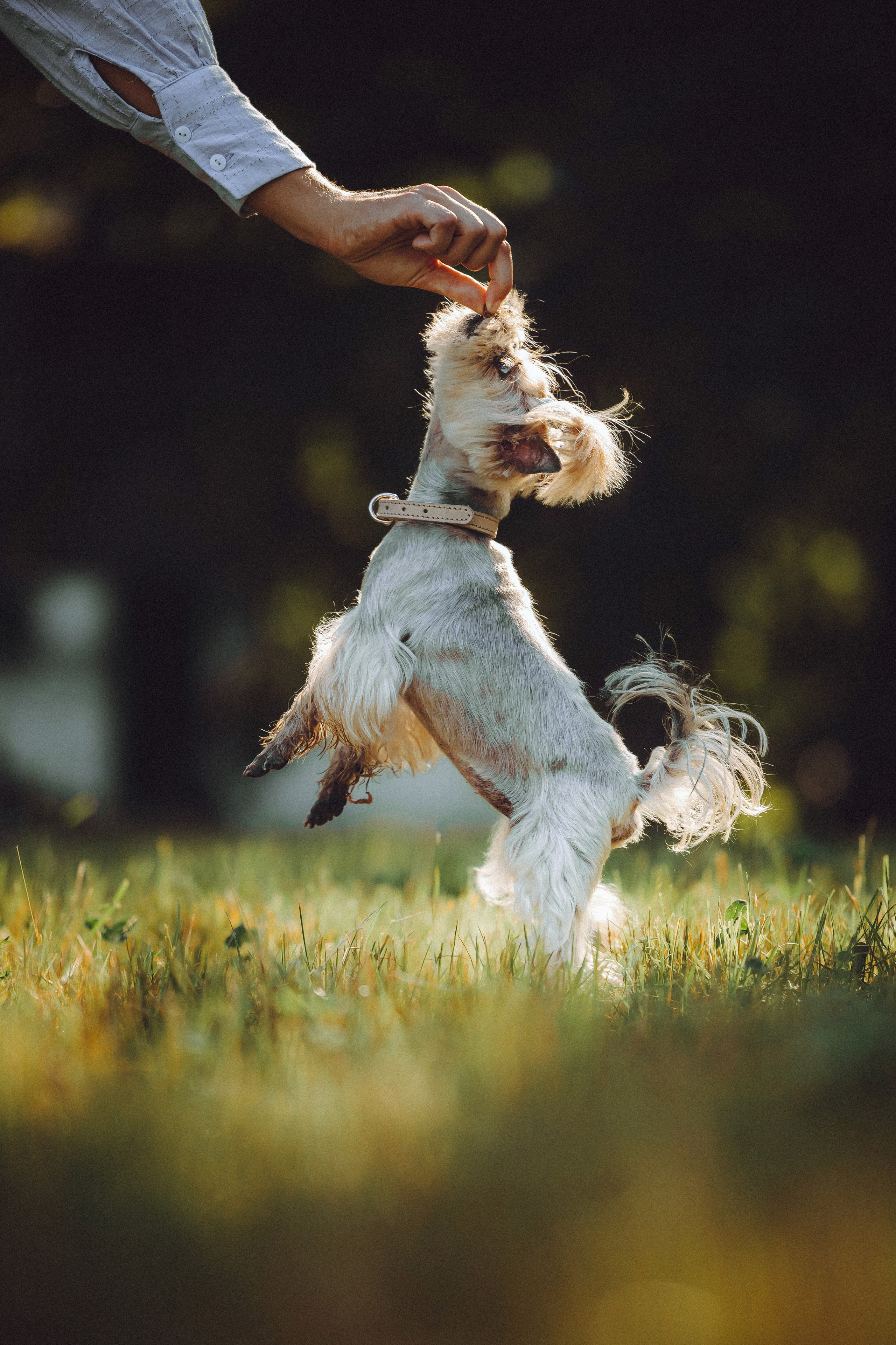 Дженни, Оливия и их семья