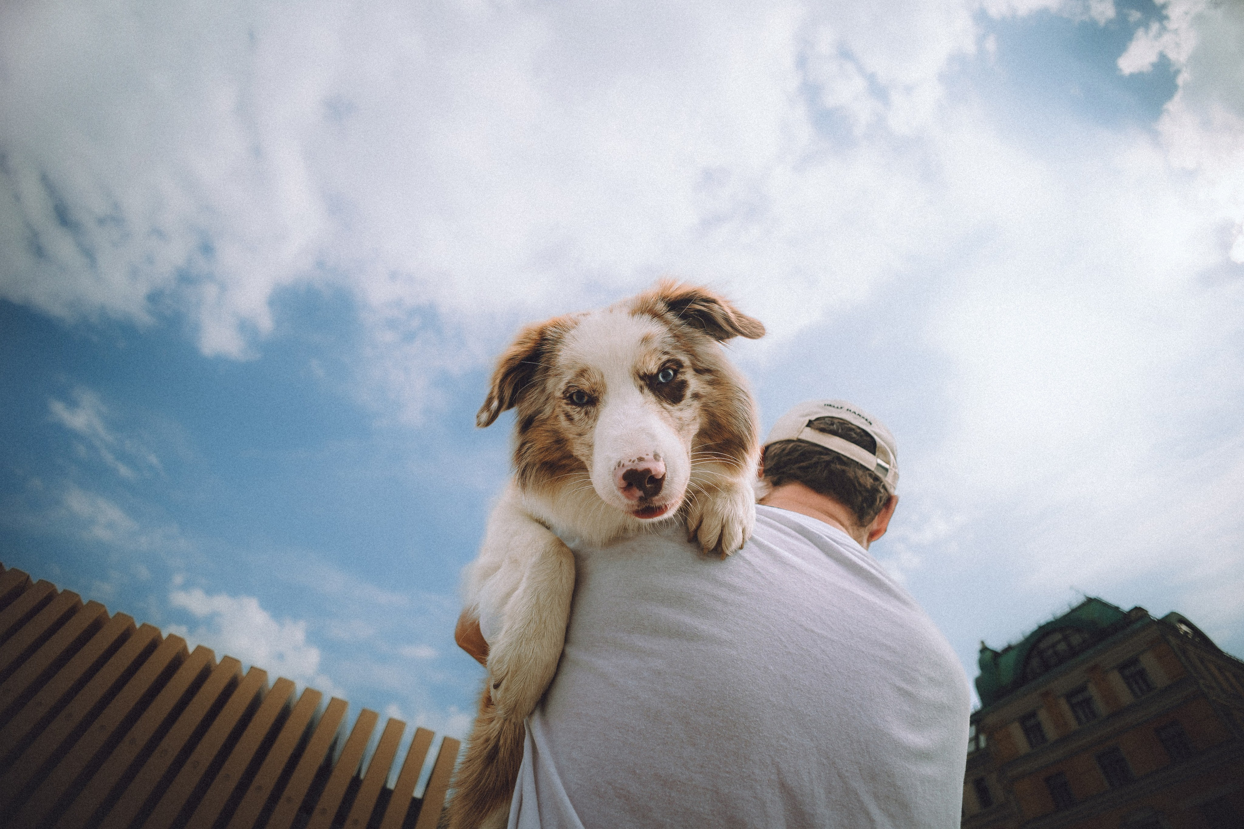 Один и его семья