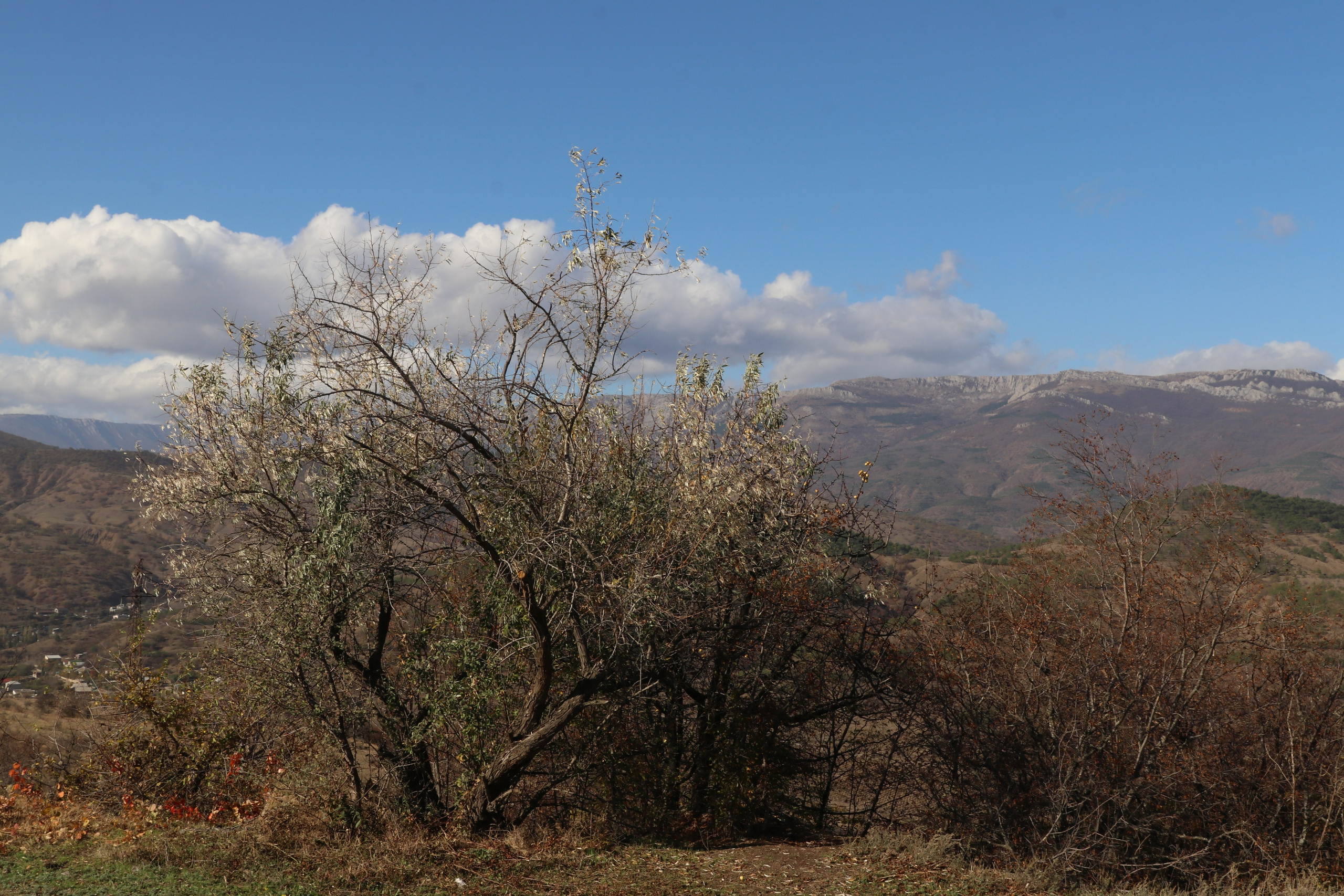 Крым. ЮБК (Гурзуф, Судак и их окрестности). Ноябрь 2023. Путешественник-фотограф из Санкт-Петербурга Татьяна Свистулина