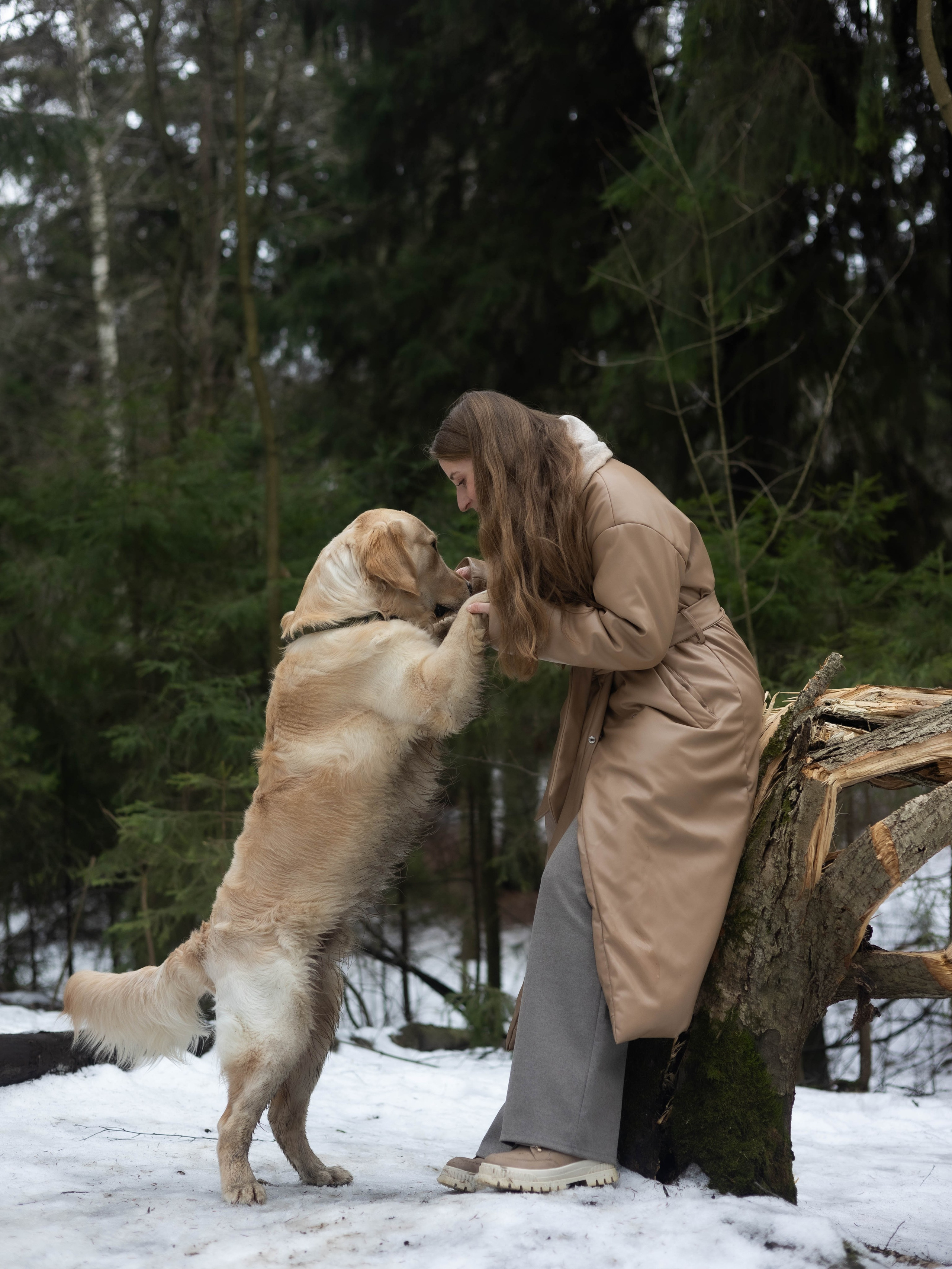 Елена и Сэм. Фотограф животных Евгения Верцинская