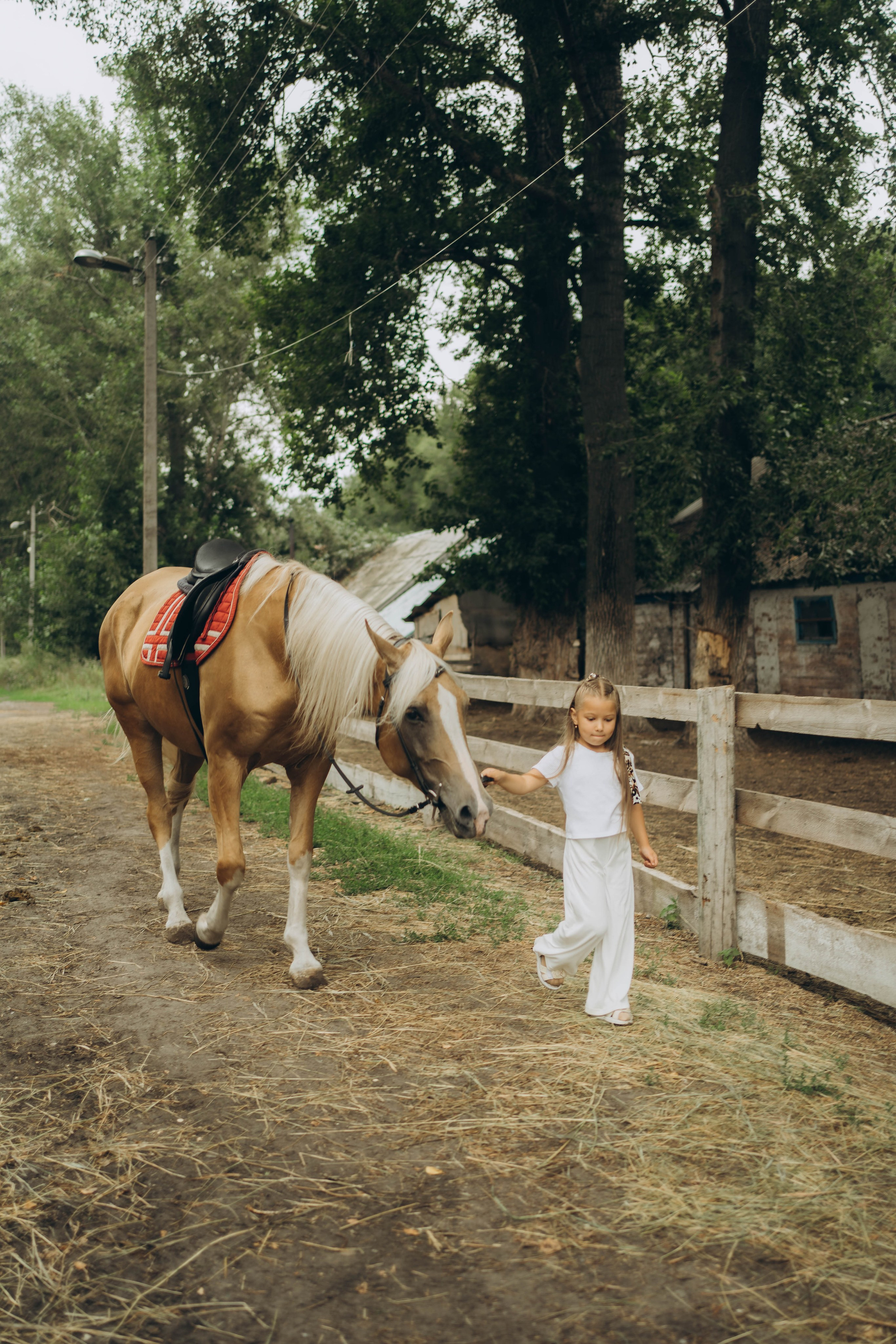 прогулки ульяновск