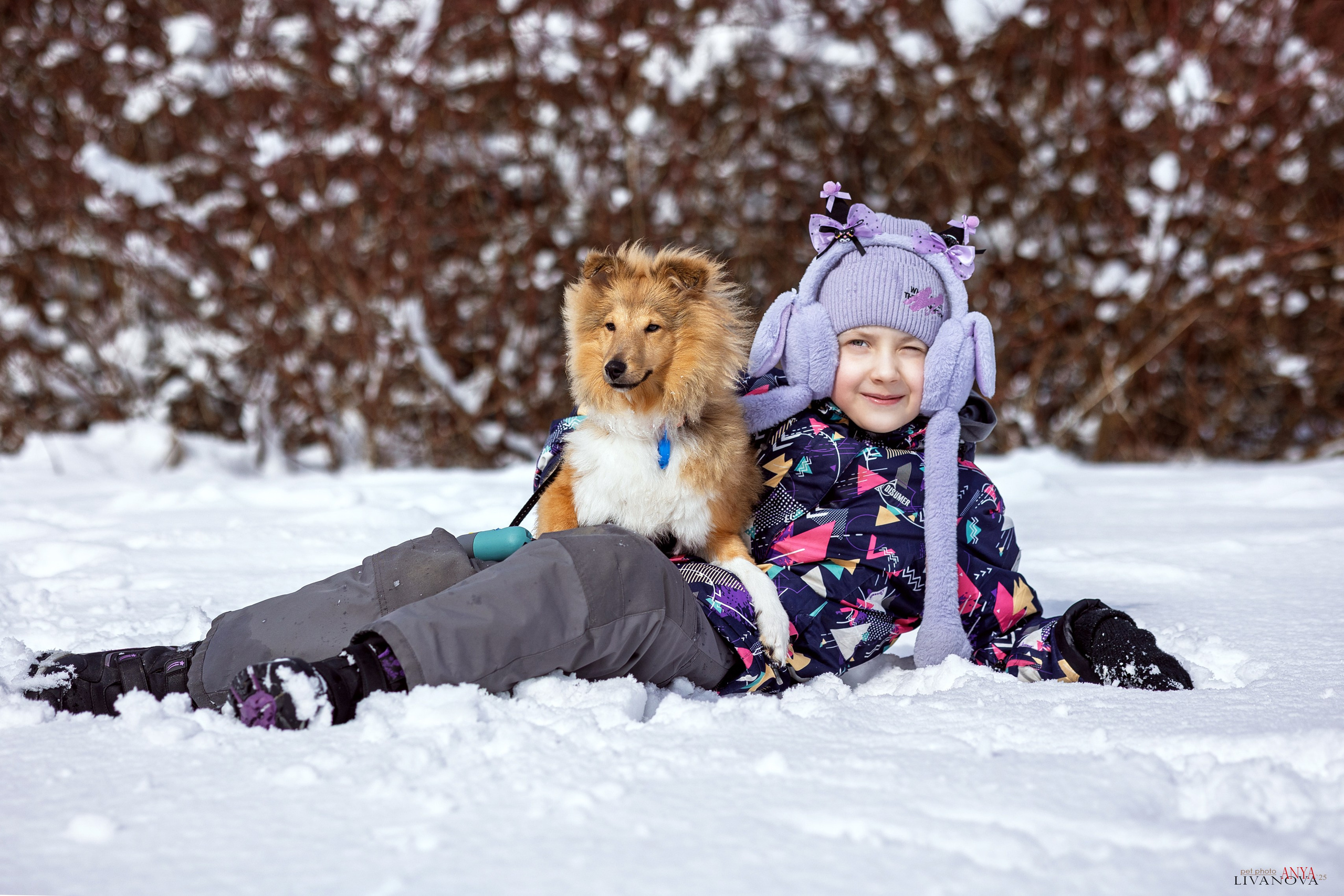Матэо. Фотограф анималист Аня Ливанова | Рыбинск