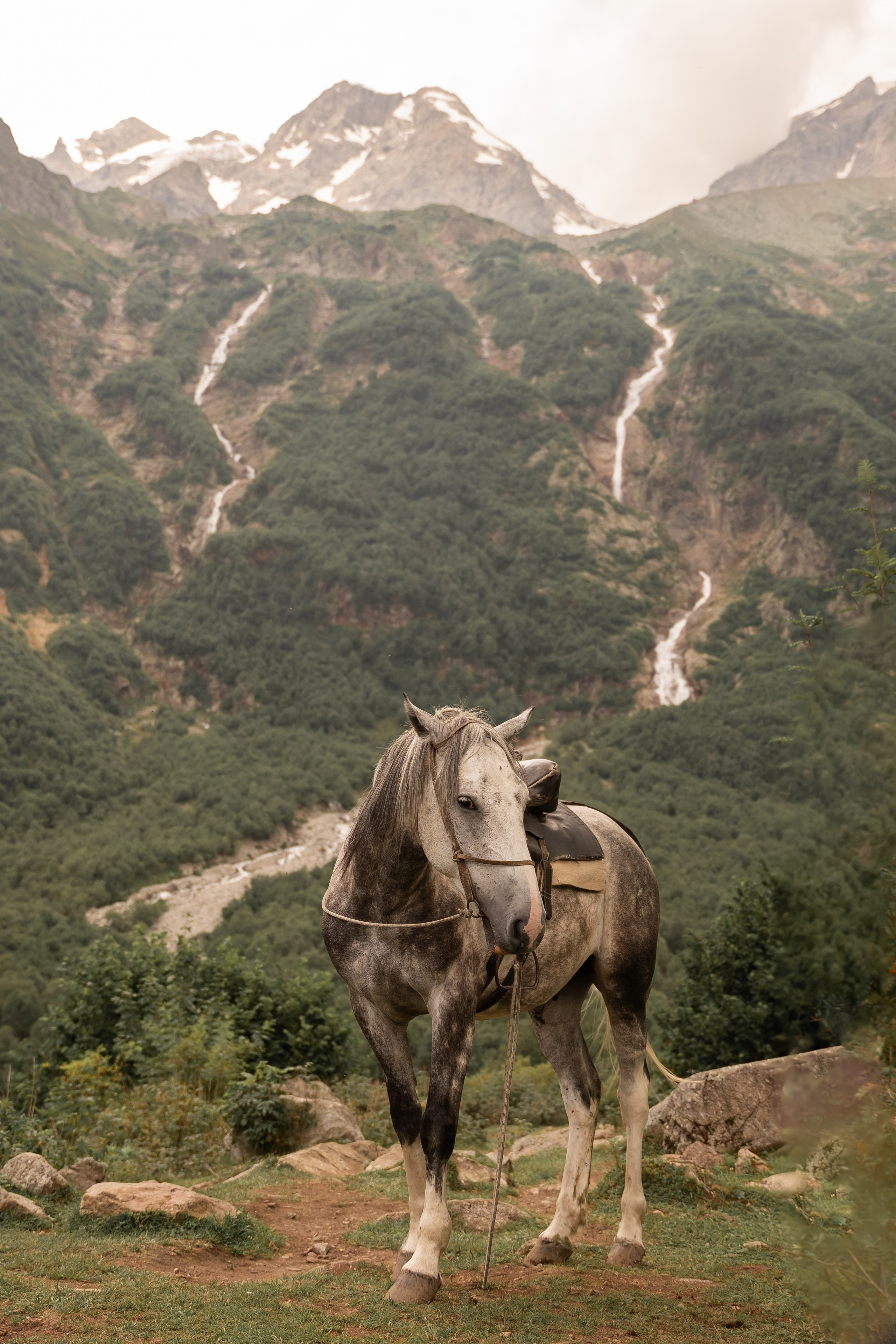 Фототур Северная Осетия с детьми. Фотограф Юлия Кондратьева